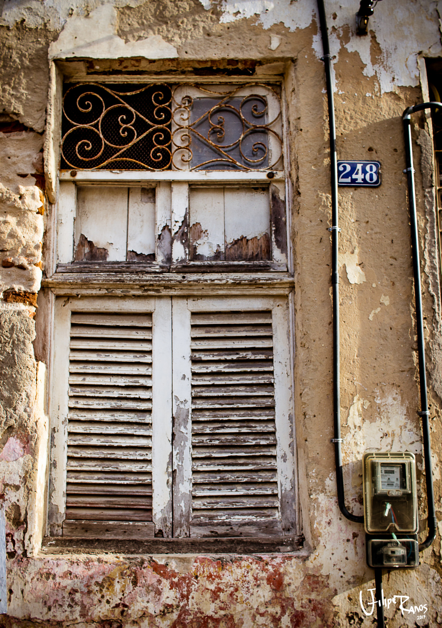 Canon EF-S 24mm F2.8 STM sample photo. Img photography