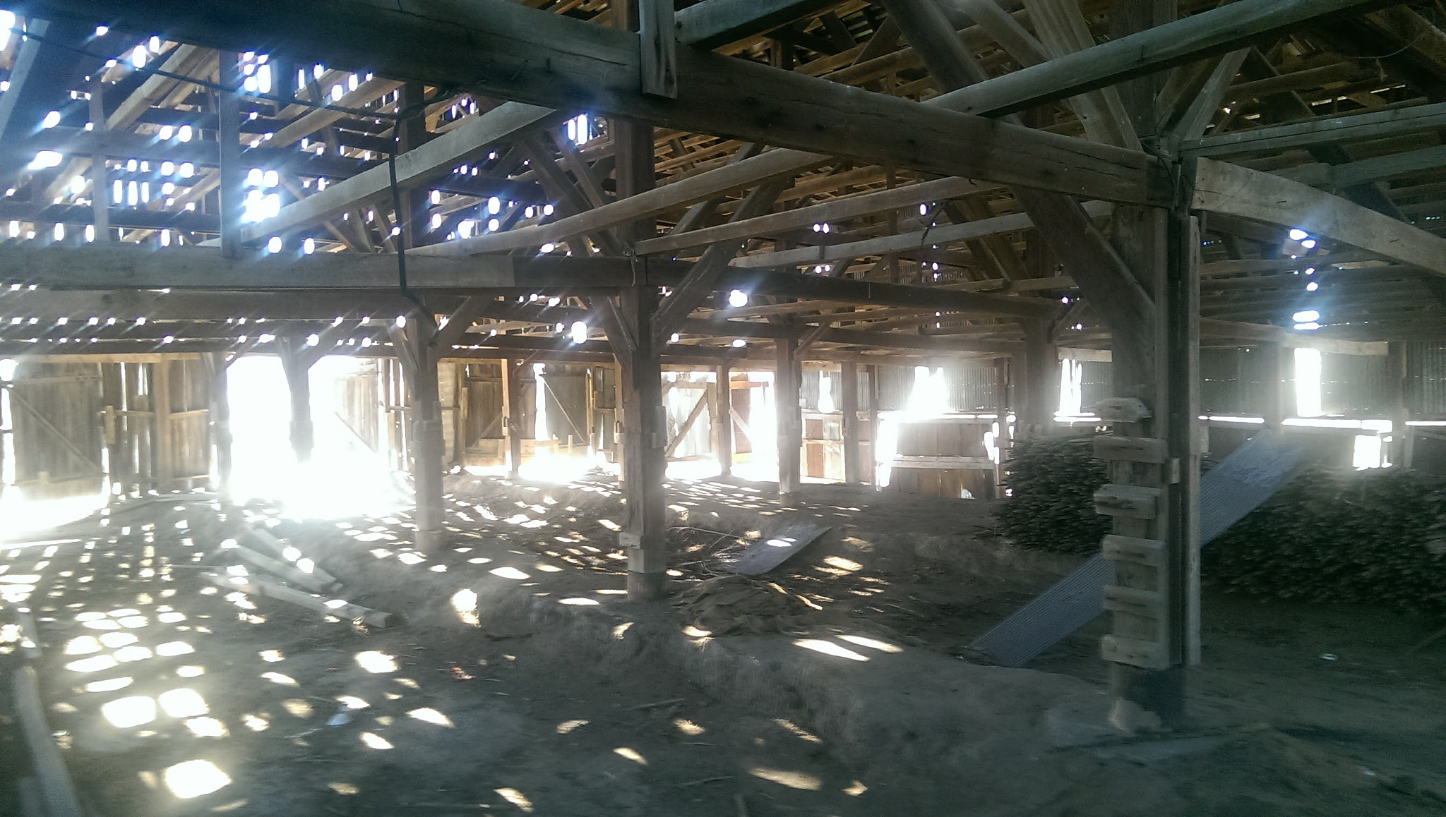 HTC ONE sample photo. Weston photography