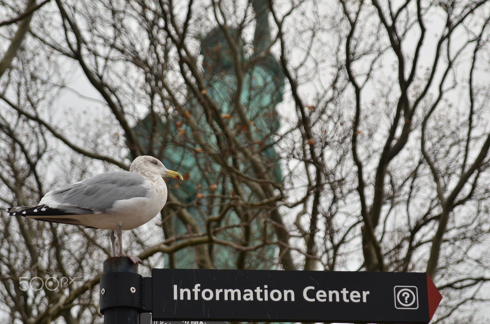 AF Zoom-Nikkor 24-120mm f/3.5-5.6D IF sample photo. Larus photography