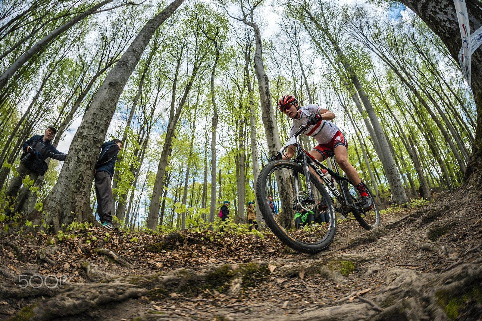 Nikon D800 sample photo. Benkó barbara, hungarian xco champion photography