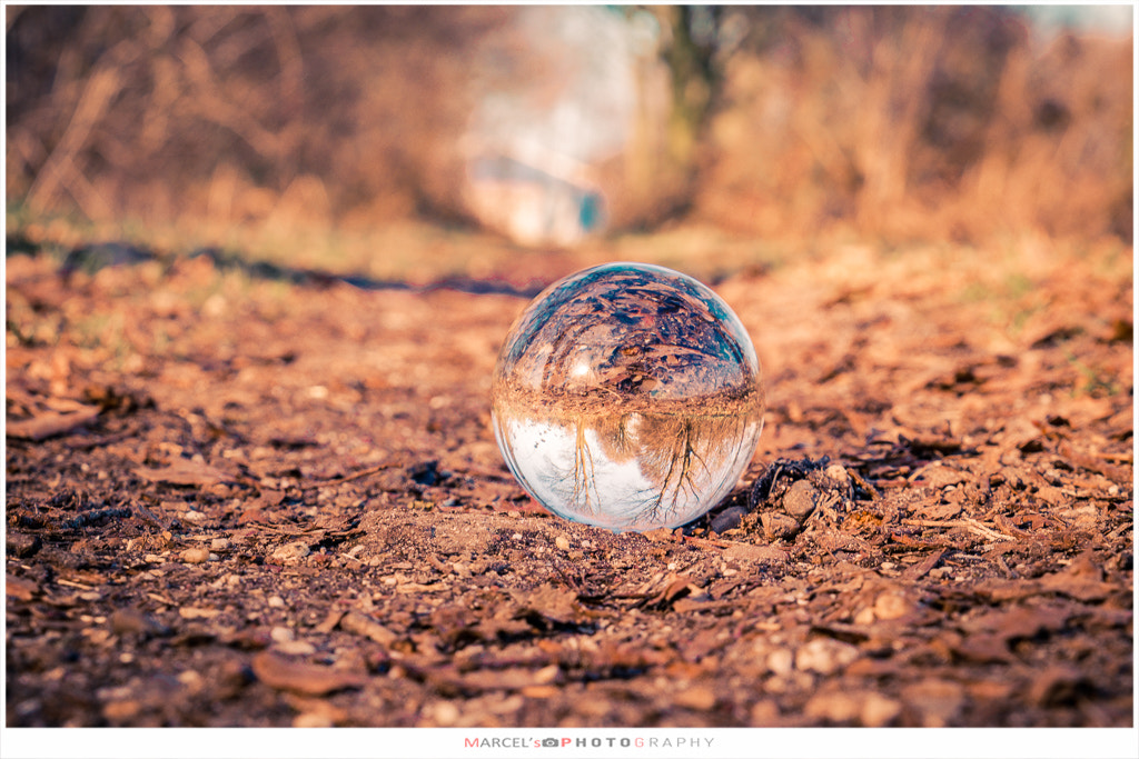 Canon EOS 80D + Sigma 24-70mm F2.8 EX DG Macro sample photo. Crystal ball photography