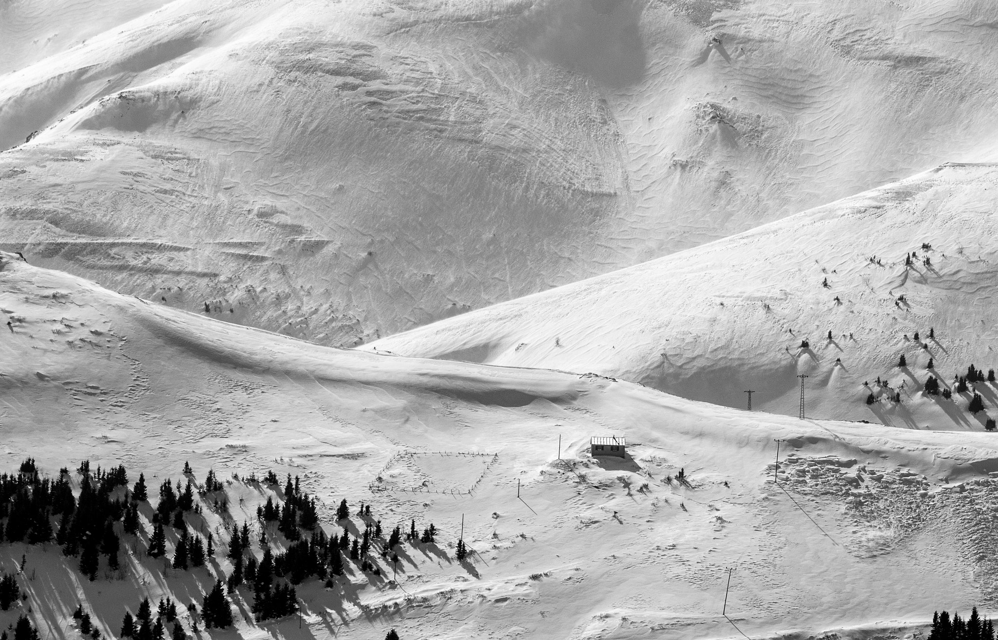 Canon EOS 60D + EF75-300mm f/4-5.6 sample photo. Winter... photography