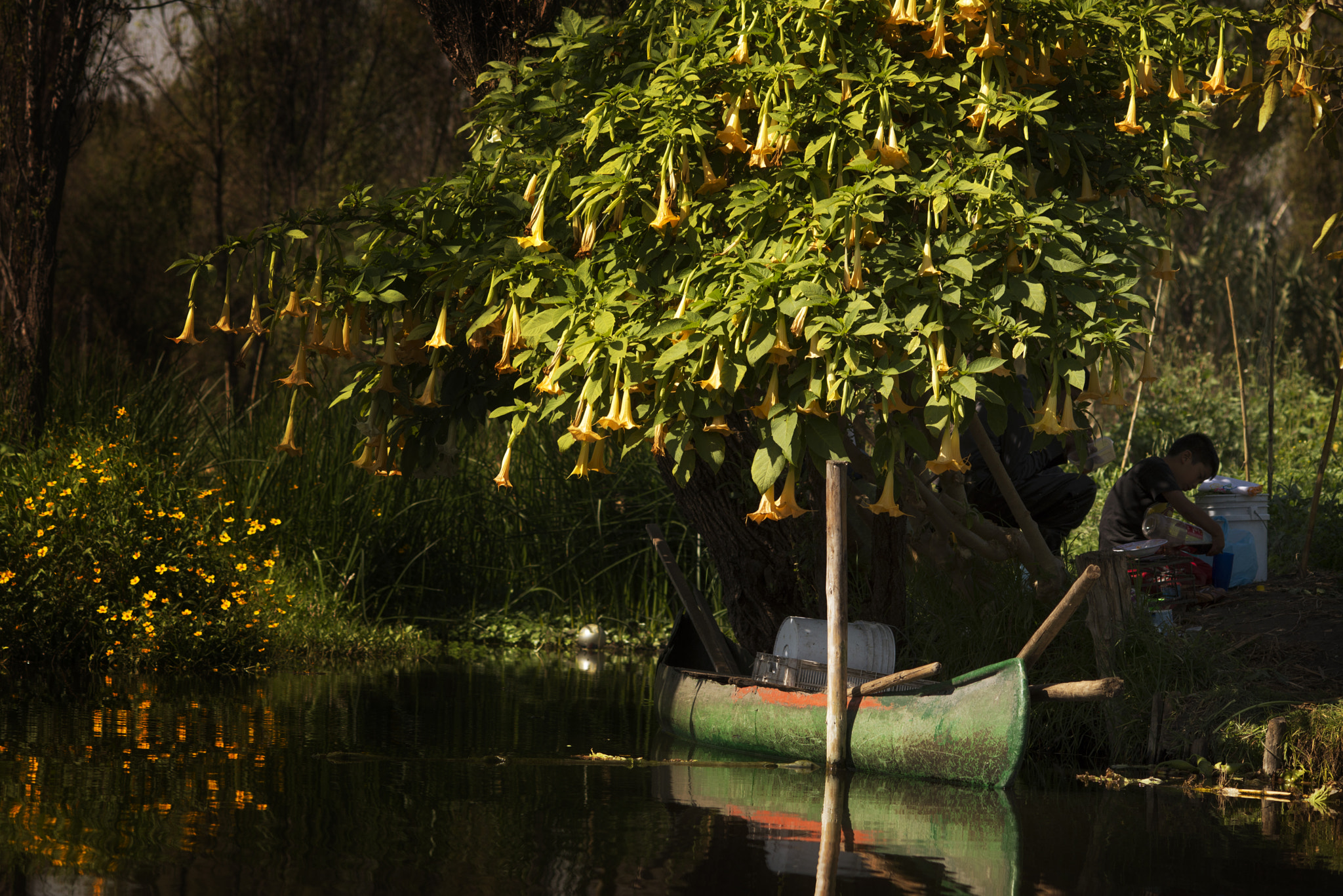 Nikon D600 + AF DC-Nikkor 135mm f/2 sample photo. Repaus photography