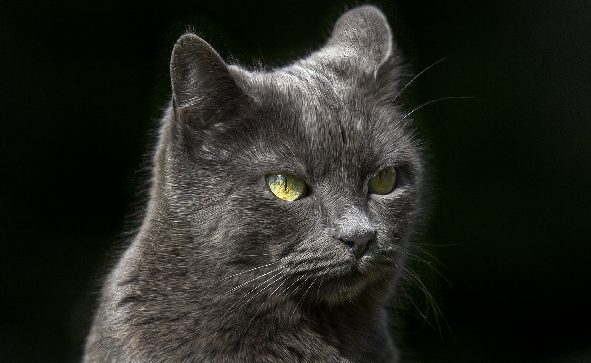Canon EF 100-400mm F4.5-5.6L IS USM sample photo. Portrait photography