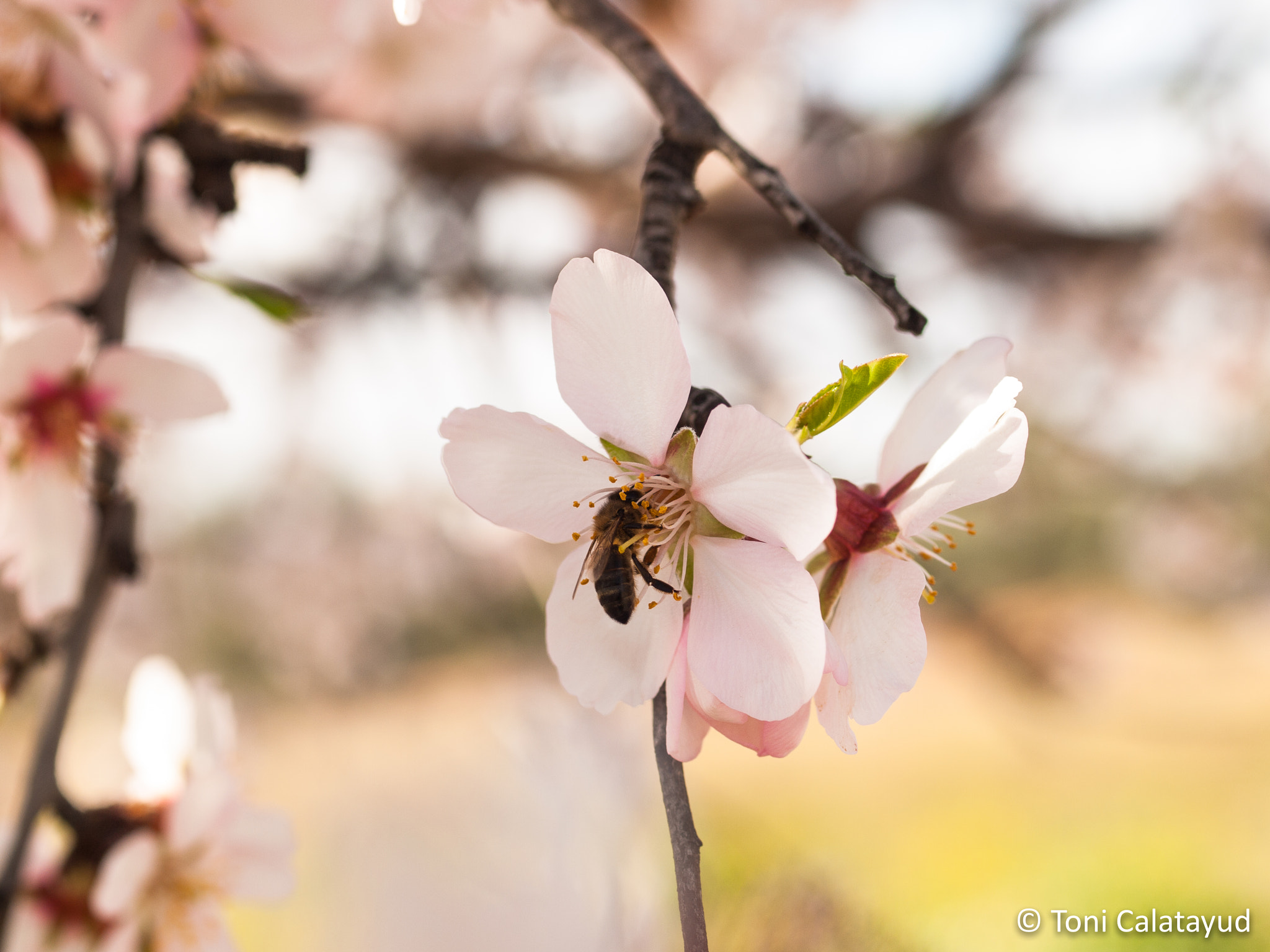 Olympus E-620 (EVOLT E-620) + OLYMPUS 50mm Lens sample photo. Working photography