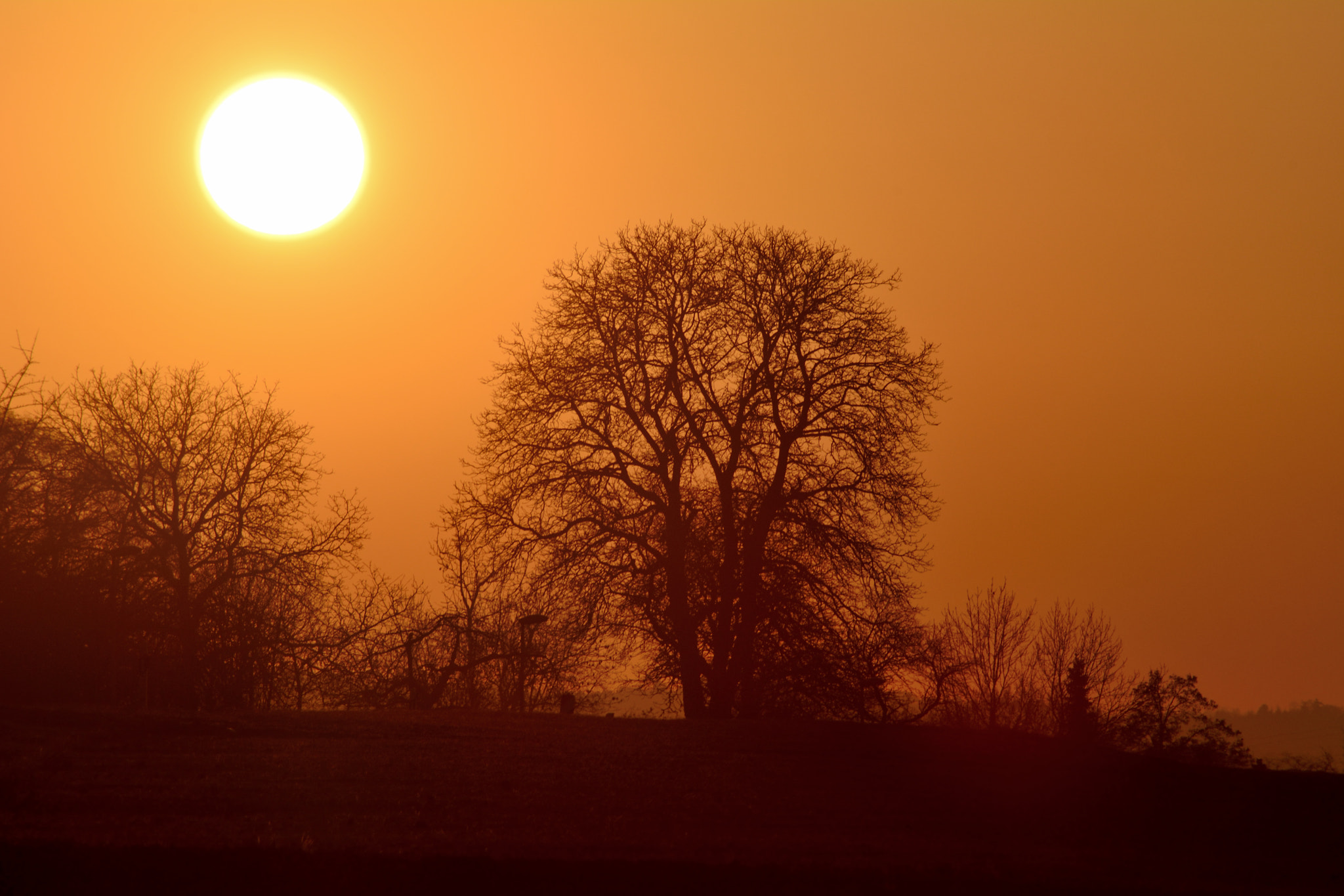 Nikon AF Nikkor 70-300mm F4-5.6G sample photo. Golden sky photography