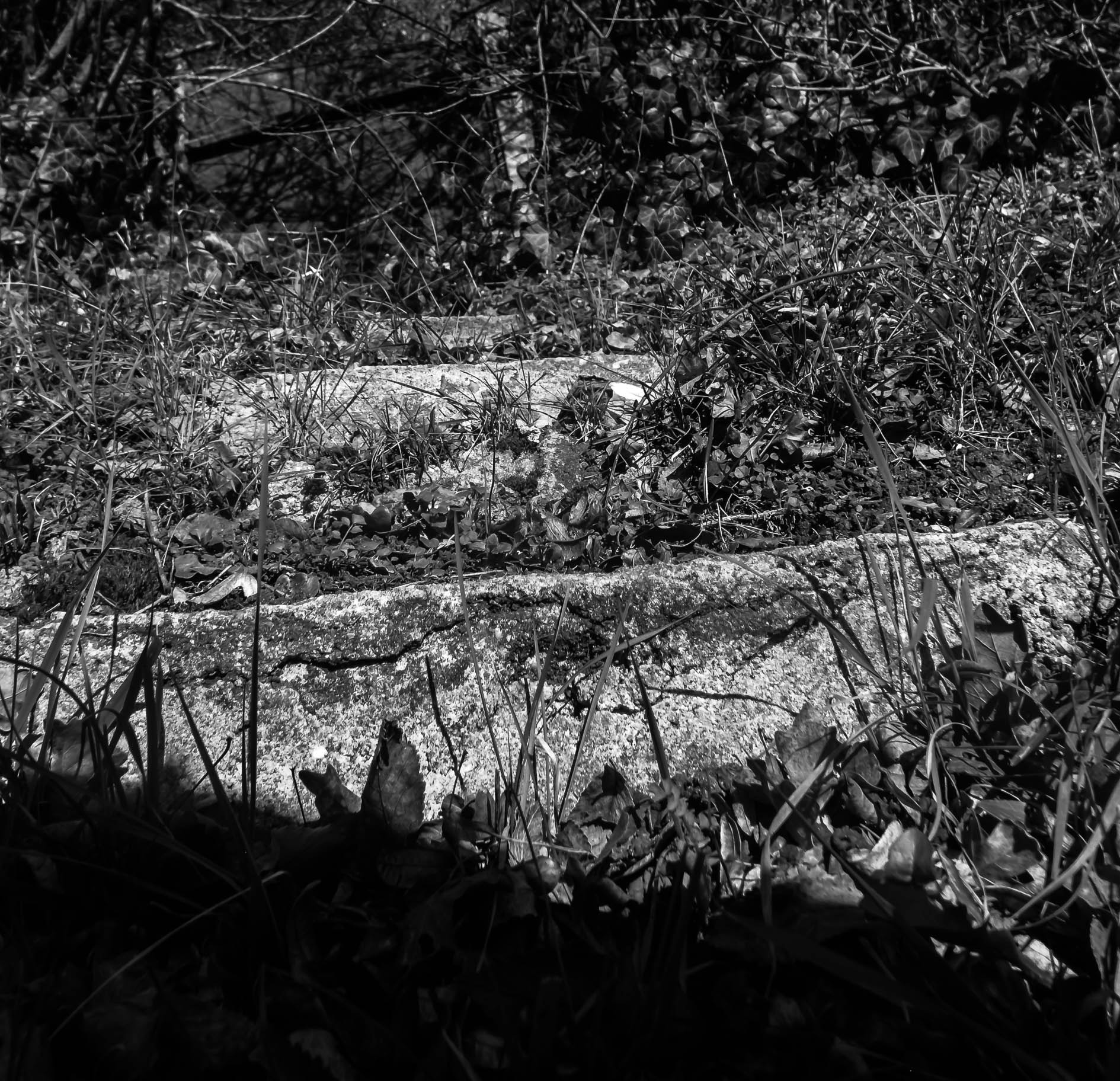 Fujifilm FinePix S4600 sample photo. Escalier oublié photography