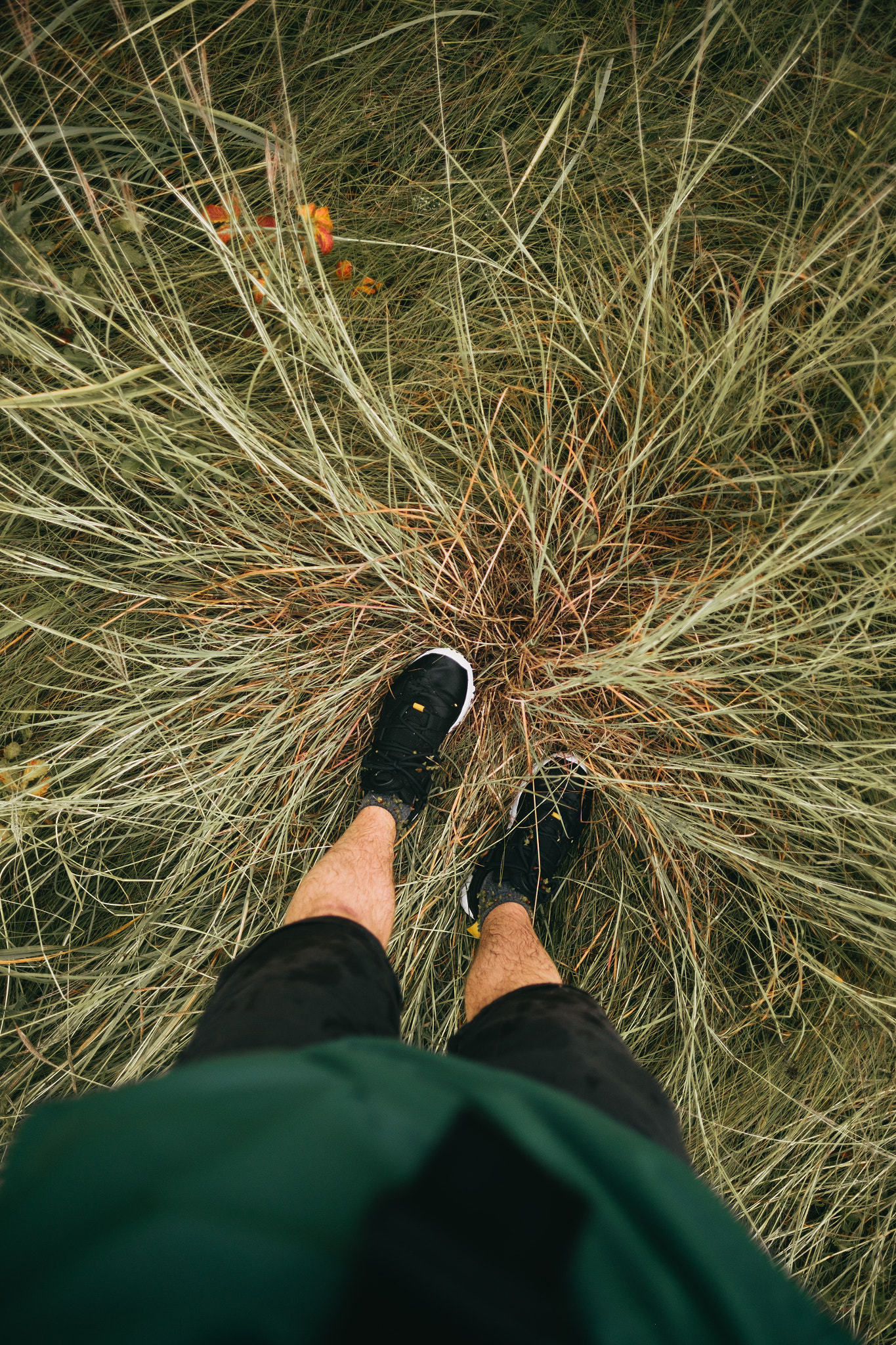 Fujifilm X-E1 + Fujifilm XF 16mm F1.4 R WR sample photo. High grass photography