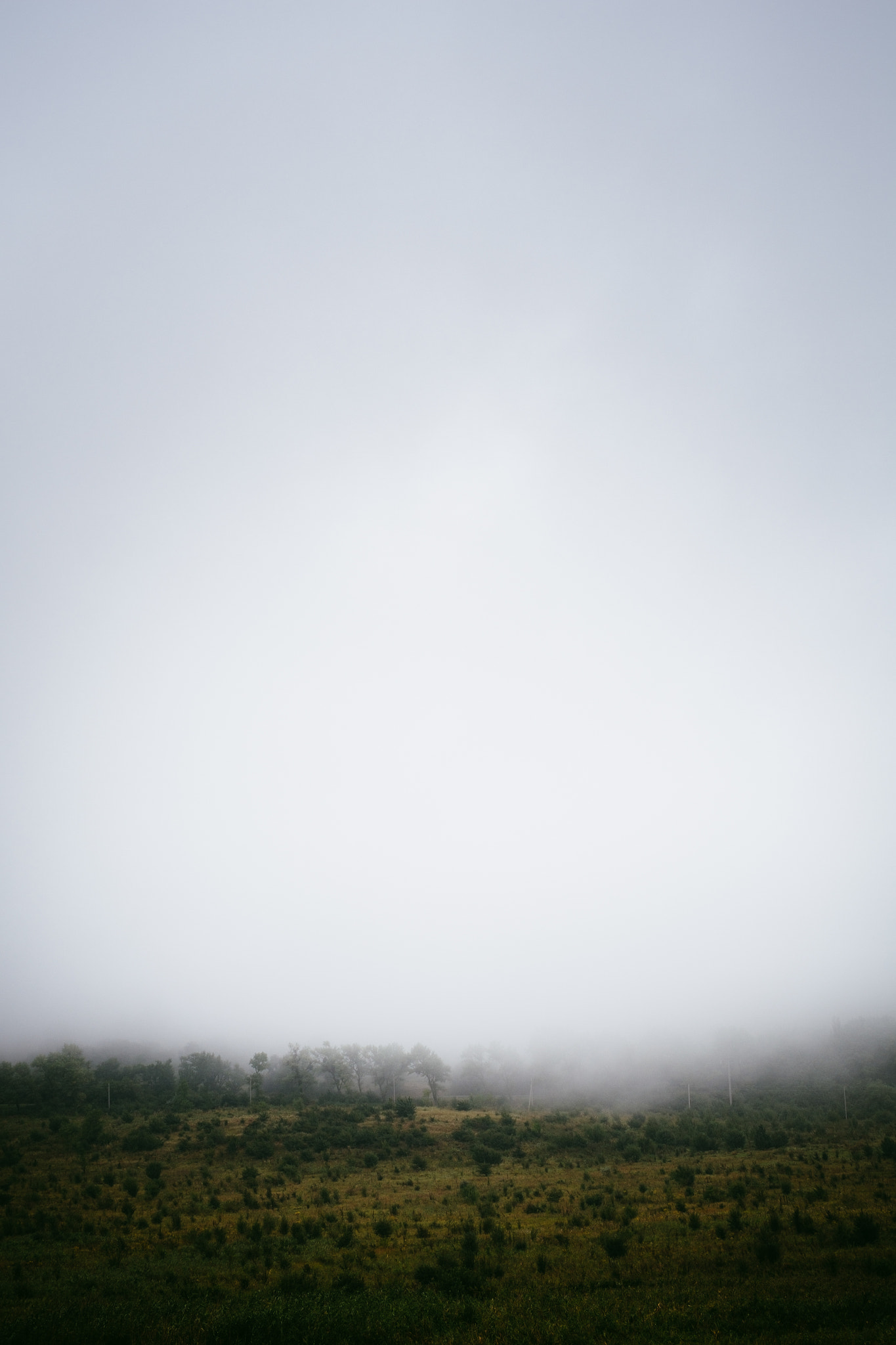 Fujifilm X-E1 + Fujifilm XF 35mm F1.4 R sample photo. Misty hills photography