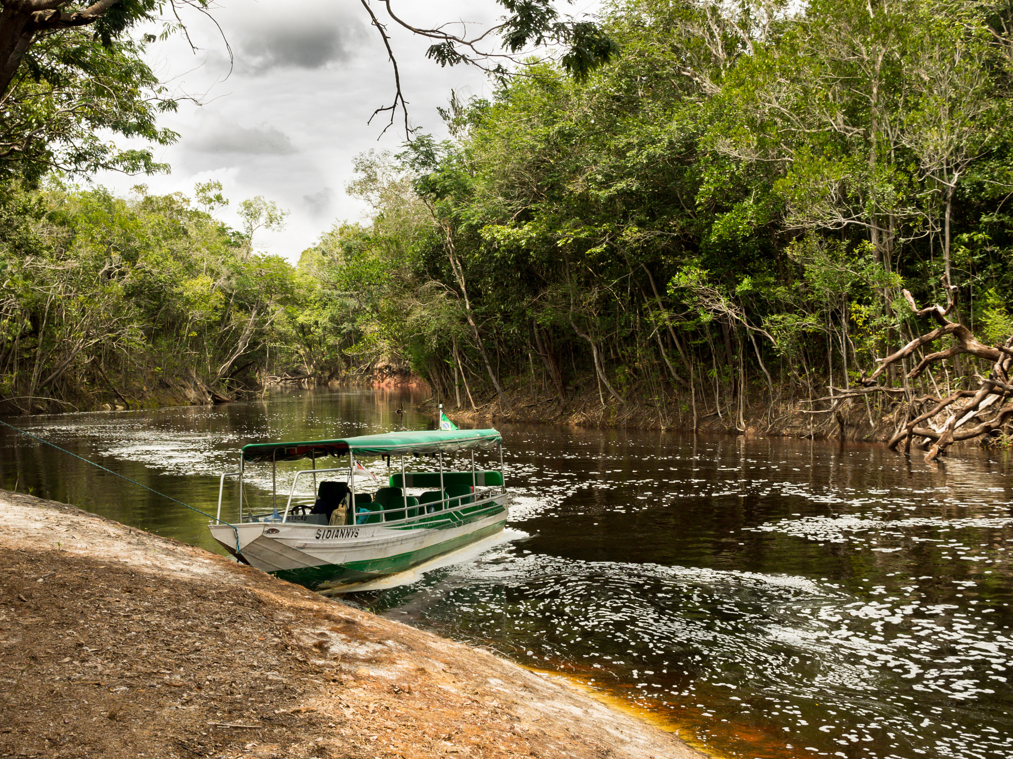 Olympus OM-D E-M1 sample photo. Rio negro tributary photography