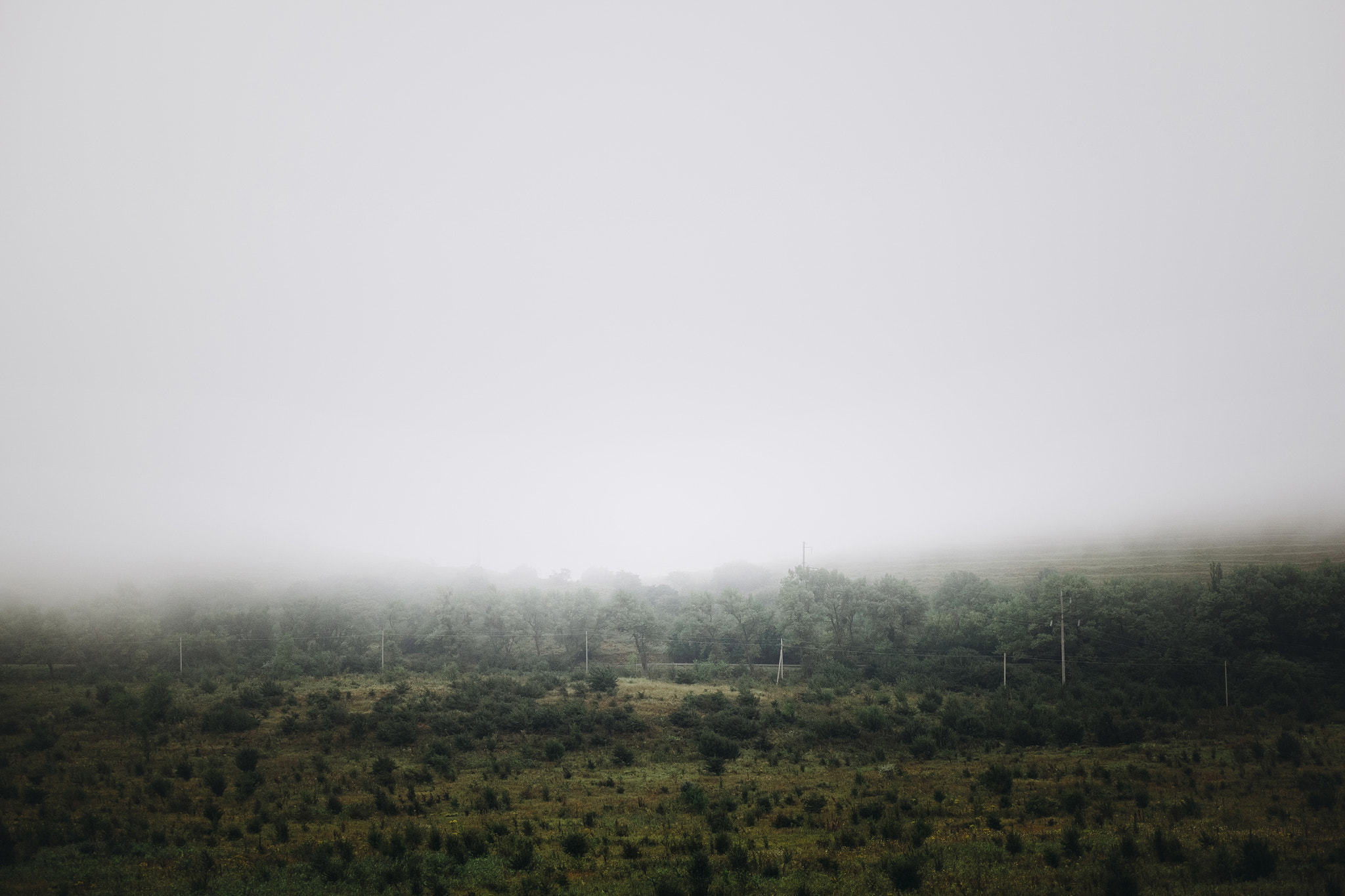 Fujifilm XF 50-140mm F2.8 R LM OIS WR sample photo. Misty hills photography
