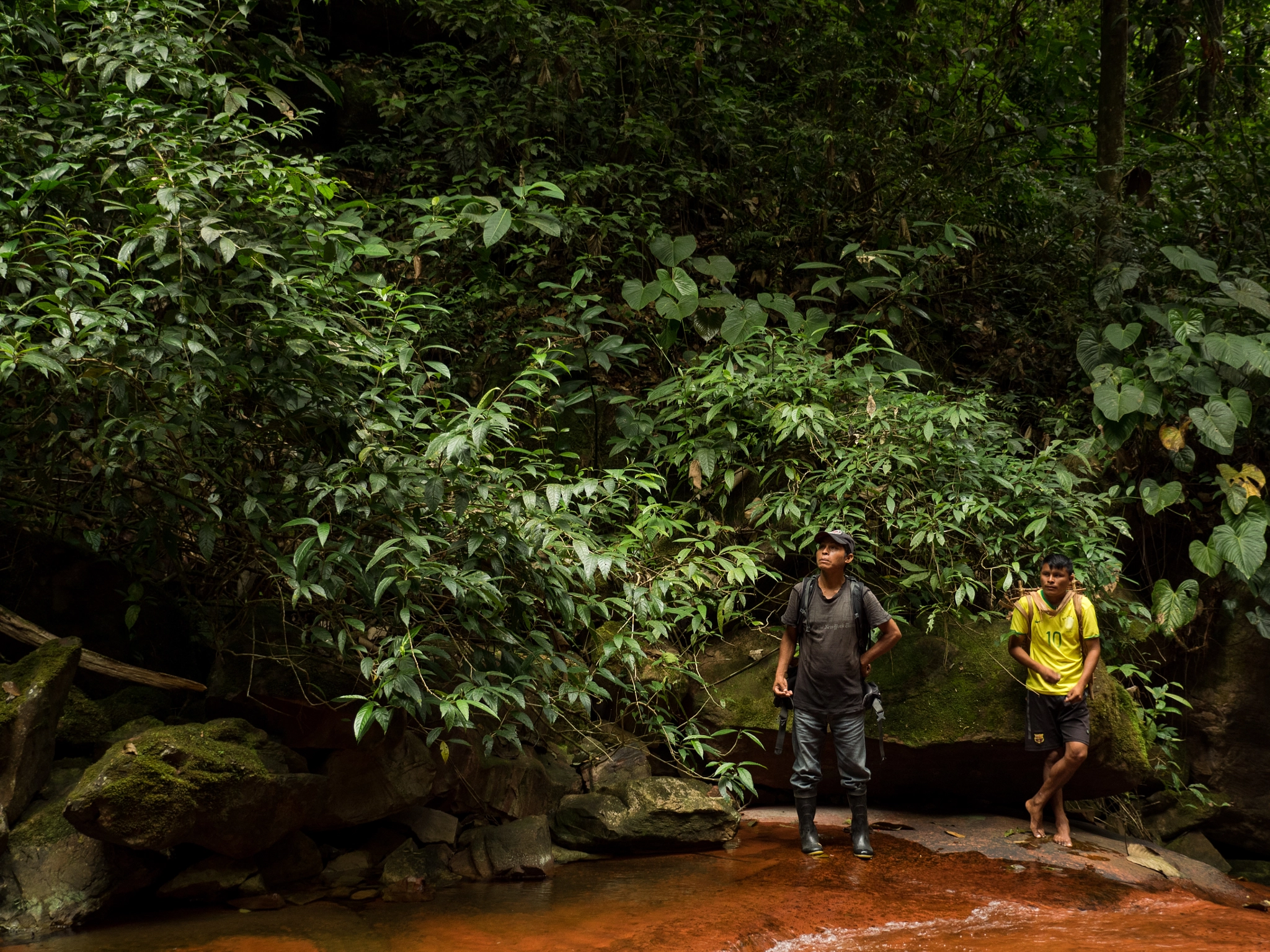 Olympus OM-D E-M1 + Panasonic Lumix G X Vario 12-35mm F2.8 ASPH Power OIS sample photo. In the jungle photography