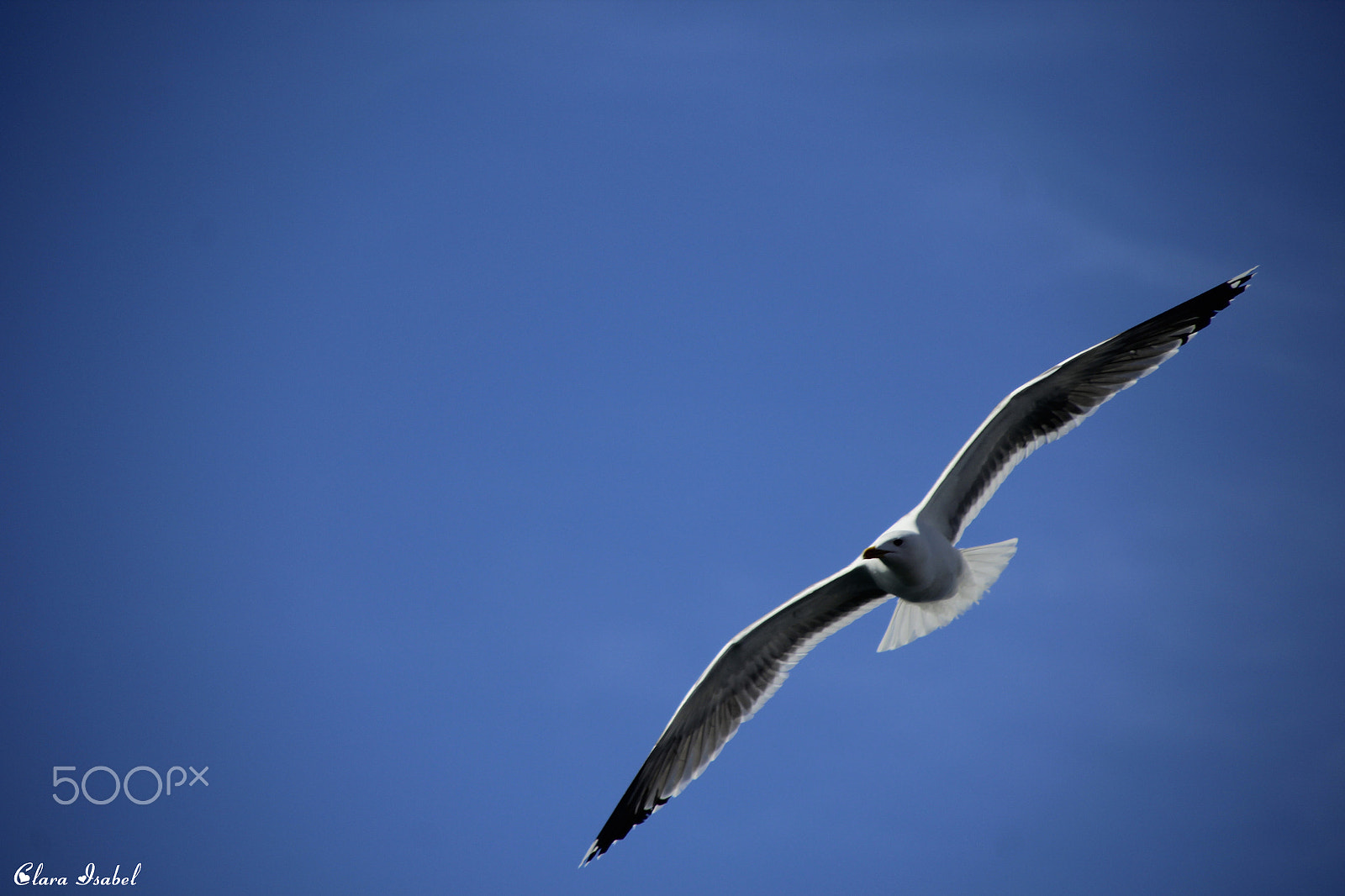 Canon EOS 1200D (EOS Rebel T5 / EOS Kiss X70 / EOS Hi) + Canon TS-E 90mm F2.8 Tilt-Shift sample photo. Disparo al aire... photography