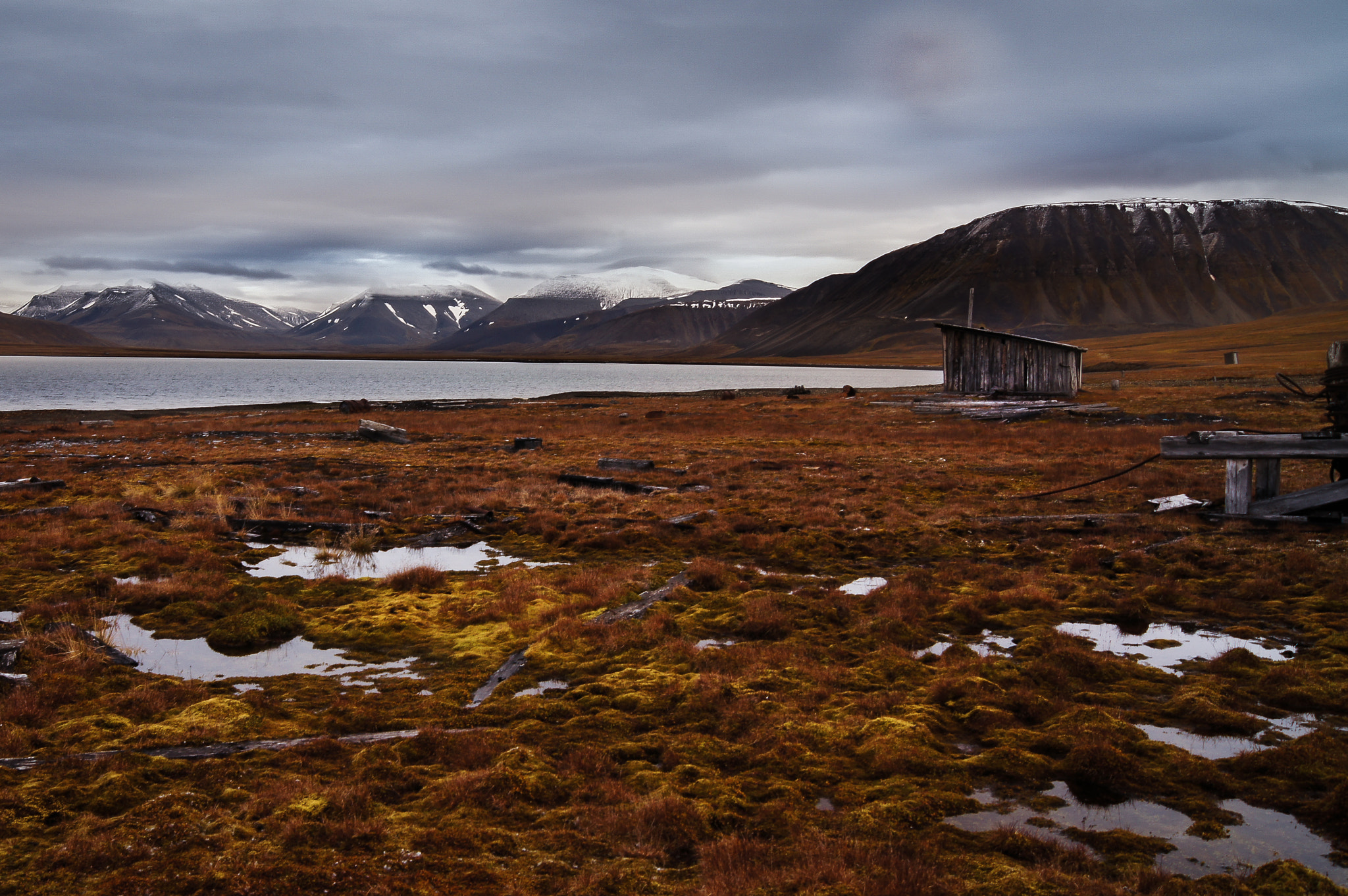 Sony SLT-A55 (SLT-A55V) sample photo. Tundra of svalbard photography