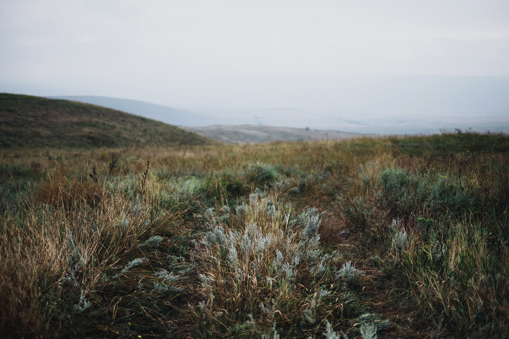 Fujifilm X-E1 + Fujifilm XF 35mm F1.4 R sample photo. Misty hills photography