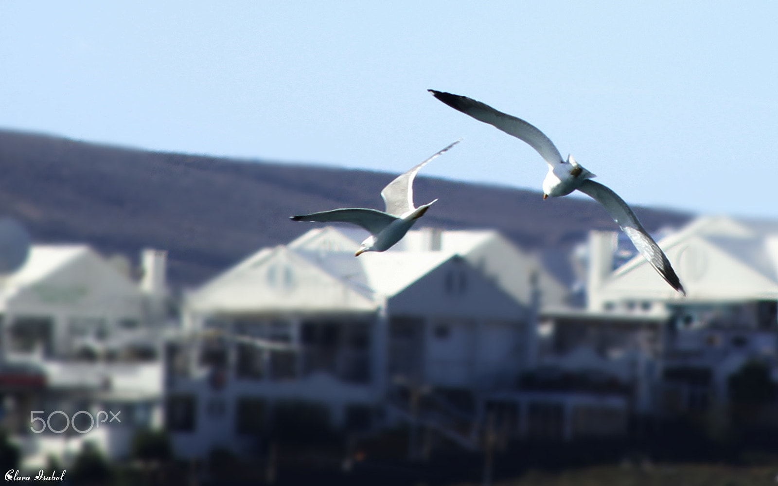 Canon EOS 1200D (EOS Rebel T5 / EOS Kiss X70 / EOS Hi) + Canon TS-E 90mm F2.8 Tilt-Shift sample photo. Disparo al aire... photography