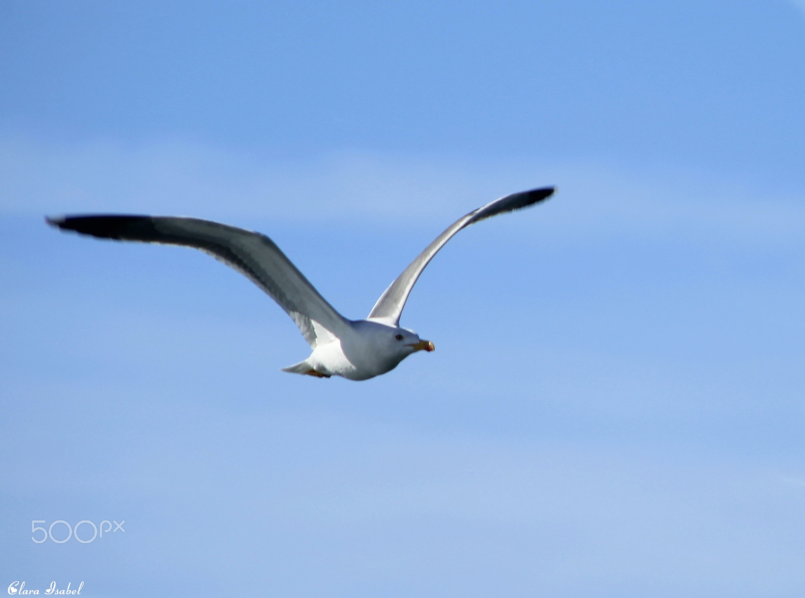 Canon EOS 1200D (EOS Rebel T5 / EOS Kiss X70 / EOS Hi) + Canon TS-E 90mm F2.8 Tilt-Shift sample photo. Disparo al aire... photography