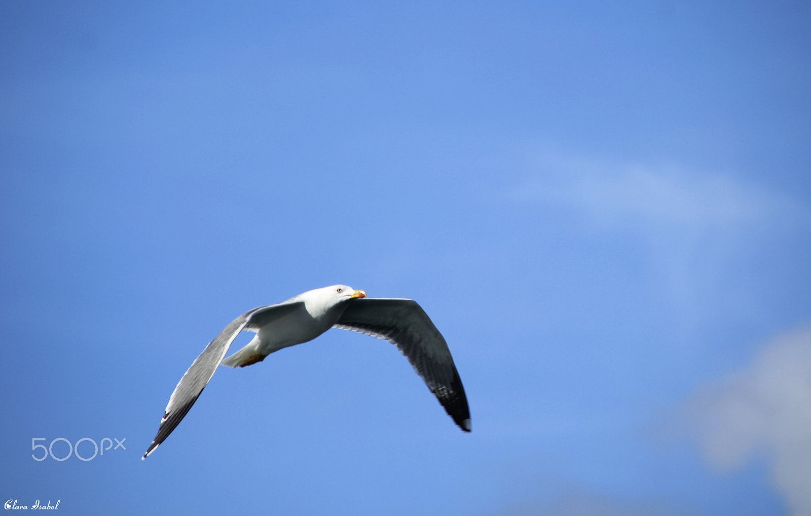 Canon EOS 1200D (EOS Rebel T5 / EOS Kiss X70 / EOS Hi) + Canon TS-E 90mm F2.8 Tilt-Shift sample photo. Disparo al aire... photography