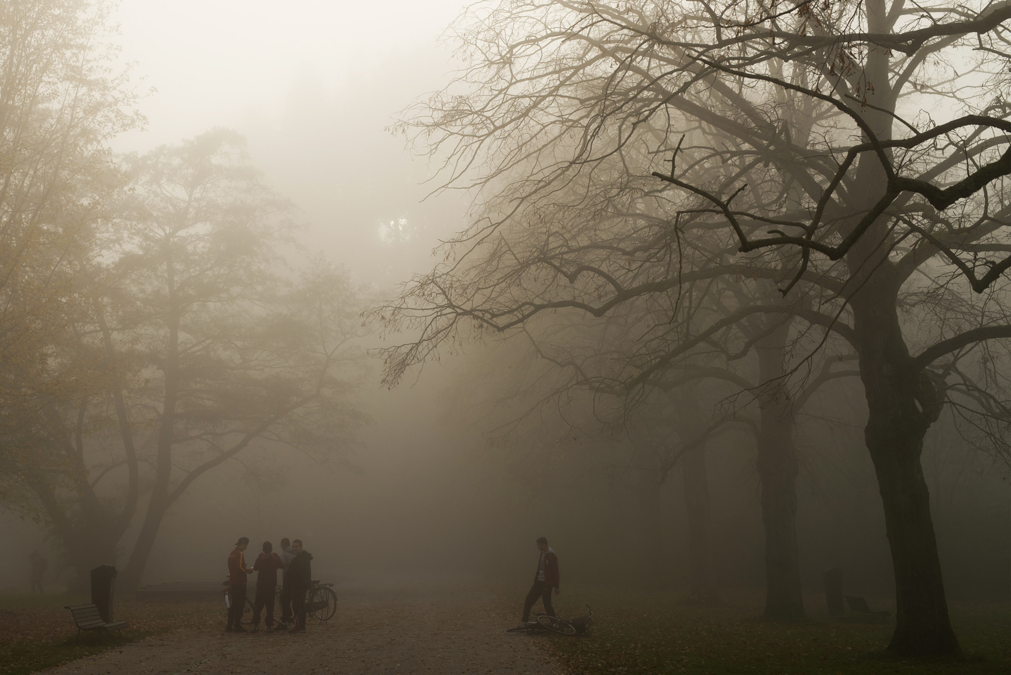 Nikon D600 sample photo. Fogy business photography