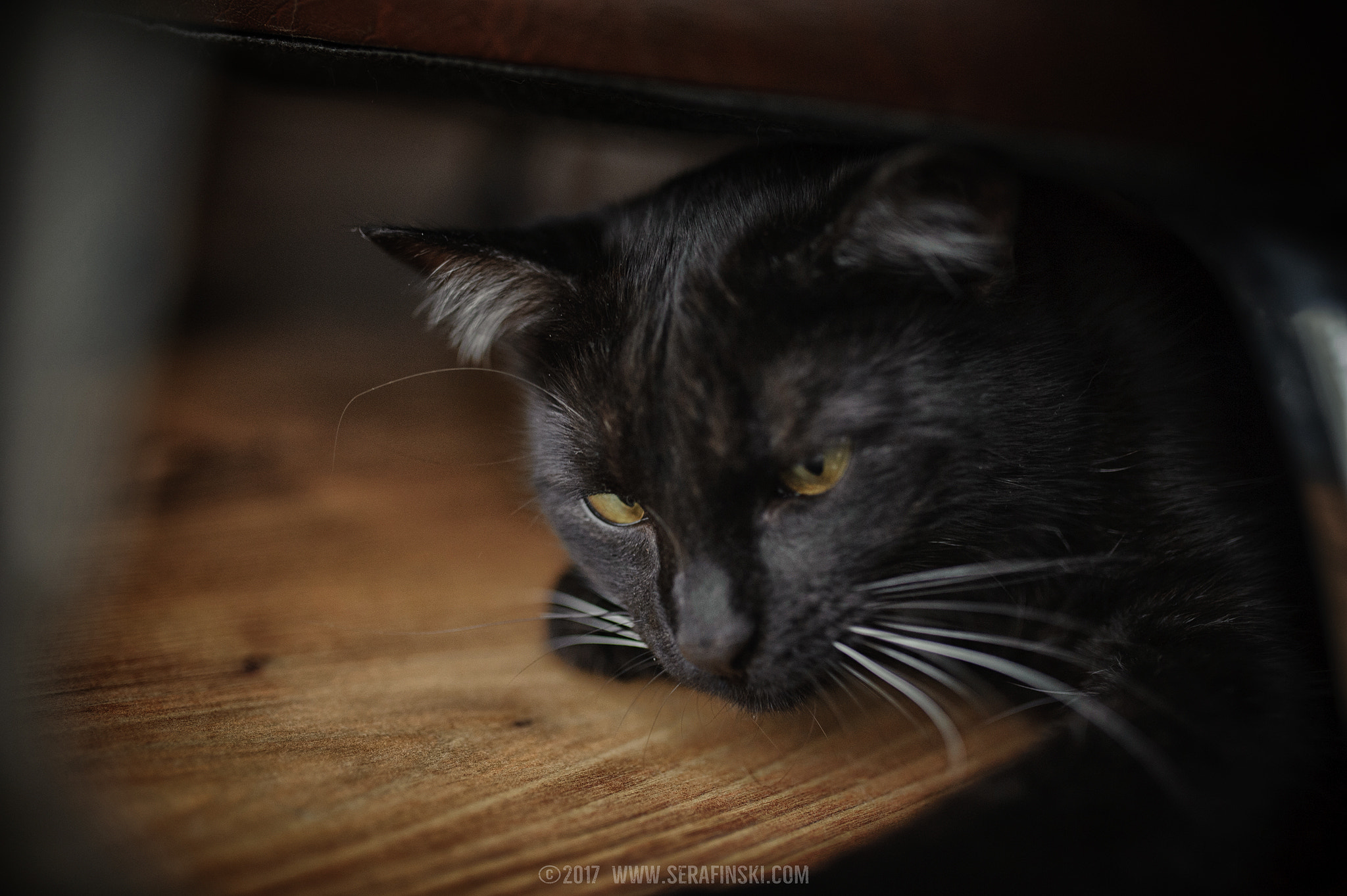 Nikon D700 + Sigma 35mm F1.4 DG HSM Art sample photo. ... photography