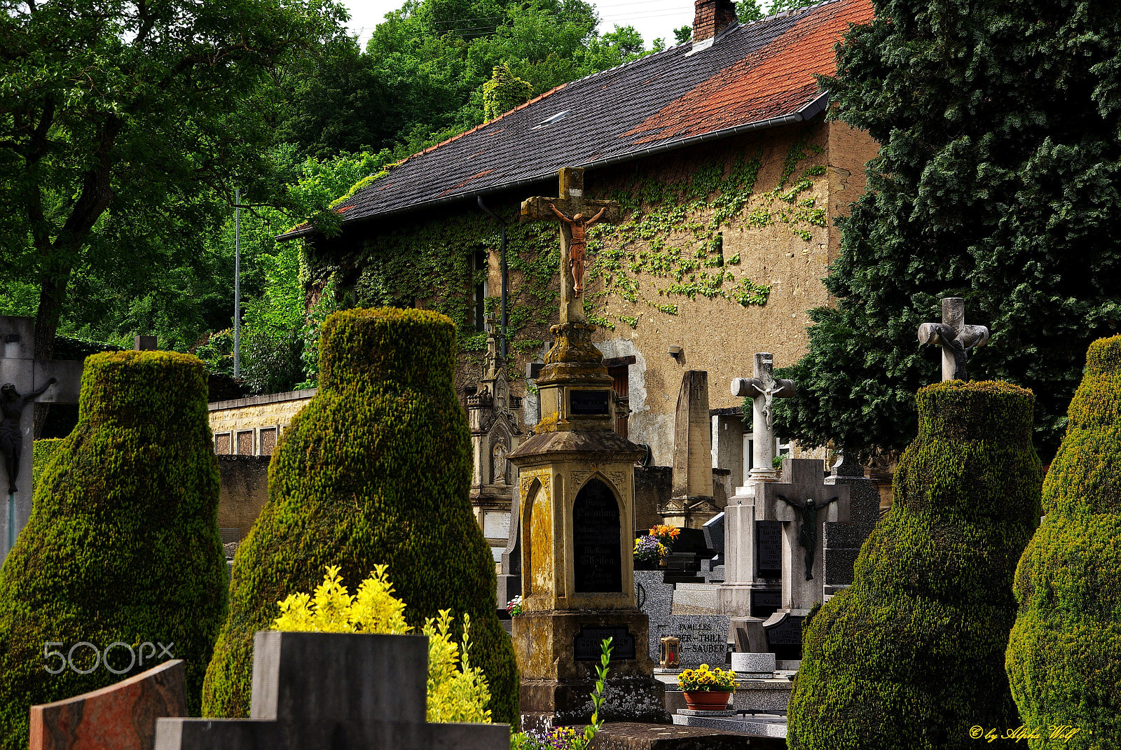 Pentax K10D + Sigma DL-II 35-80mm F4-5.6 sample photo. Cemetery photography