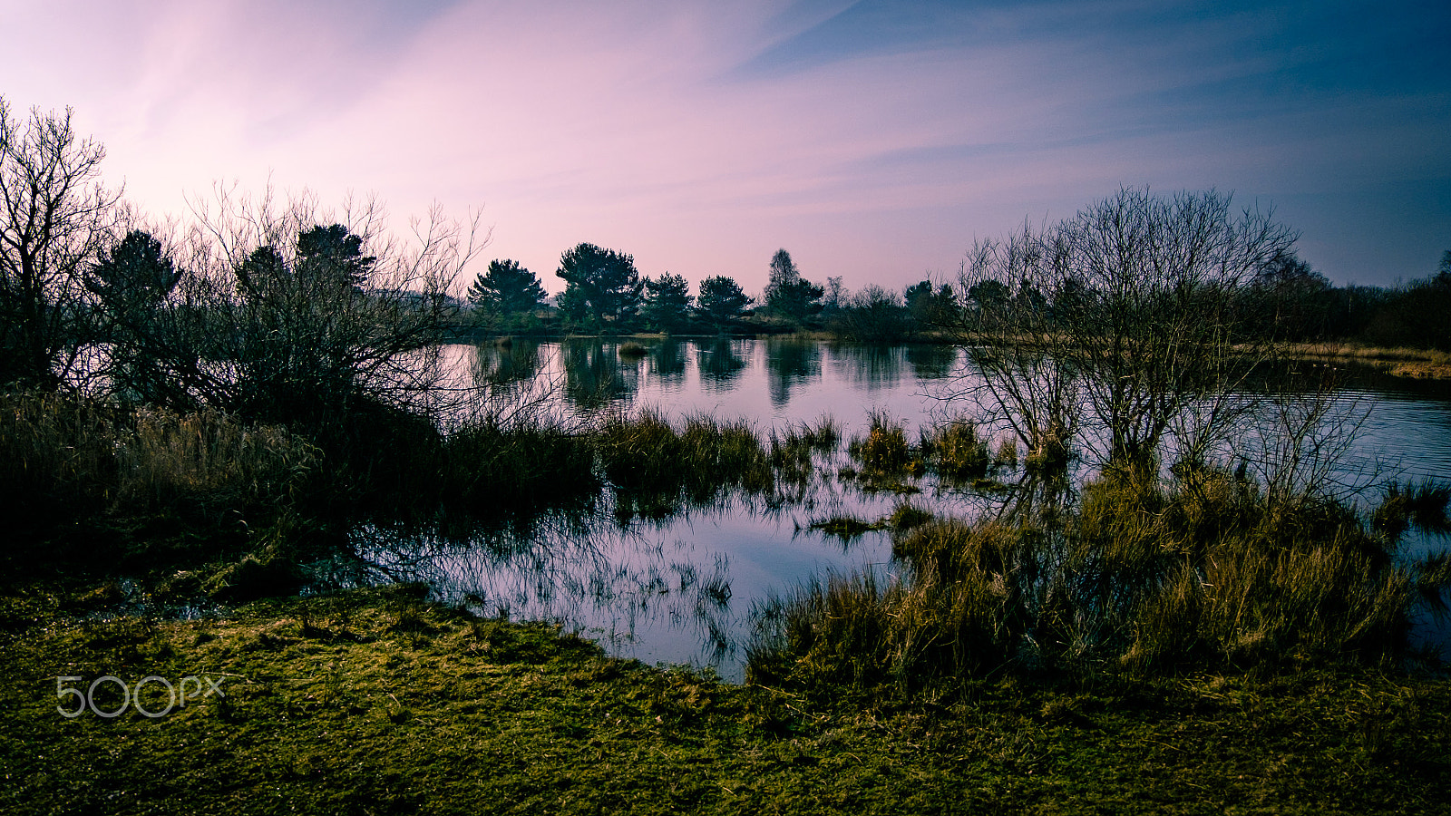 Fujifilm X-T1 + Fujifilm XC 16-50mm F3.5-5.6 OIS II sample photo. Airport park photography