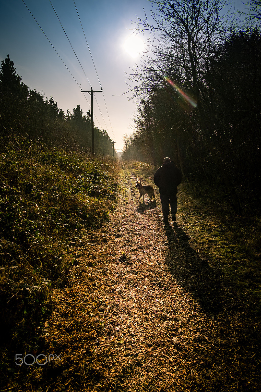 Fujifilm X-T1 + Fujifilm XC 16-50mm F3.5-5.6 OIS II sample photo. Airport park photography