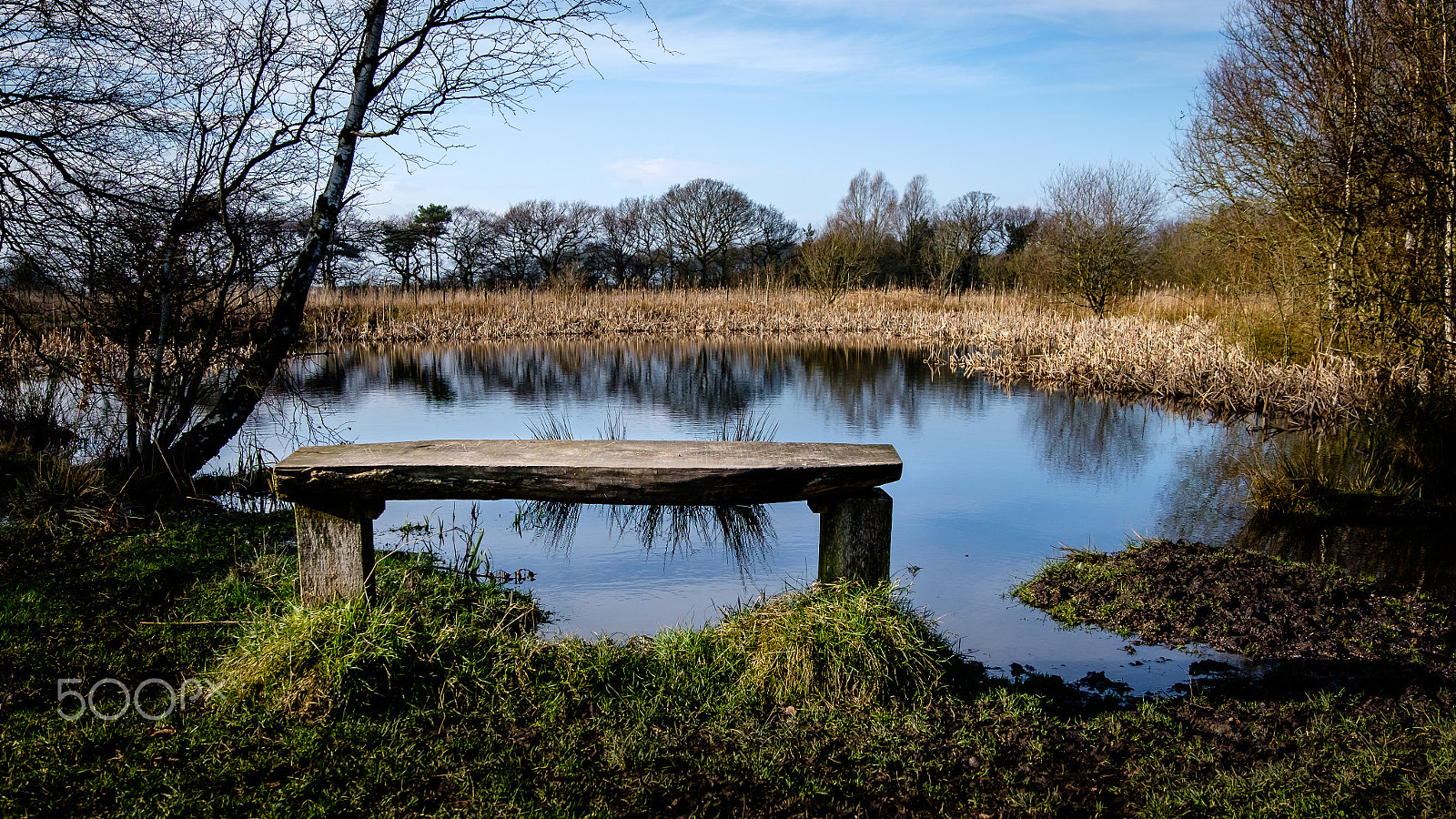 Fujifilm X-T1 + Fujifilm XC 16-50mm F3.5-5.6 OIS II sample photo. Airport park photography