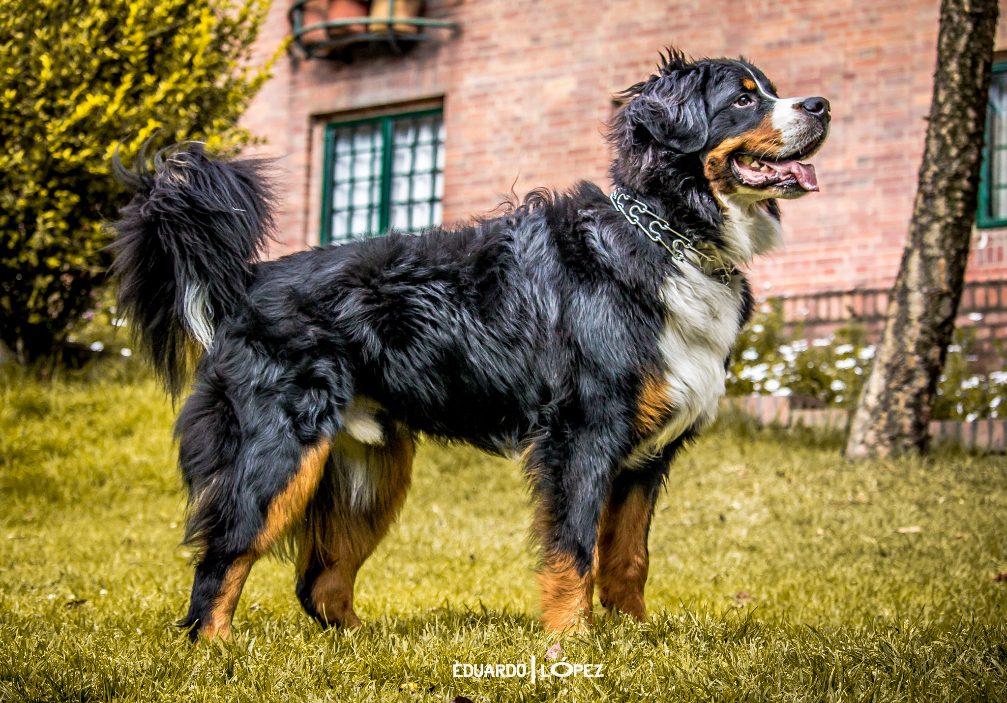 Canon EF-S 55-250mm F4-5.6 IS STM sample photo. Img photography