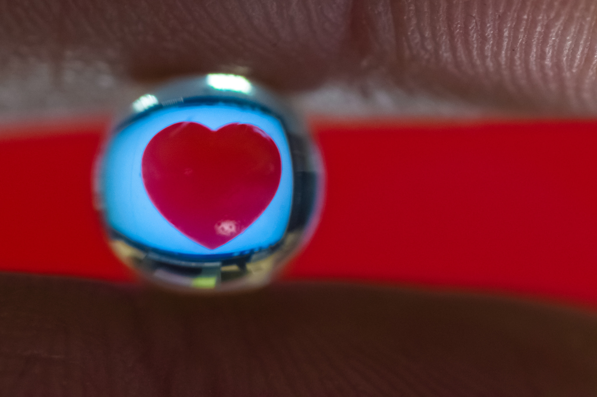 Tamron SP AF 90mm F2.8 Di Macro sample photo. Heart photography