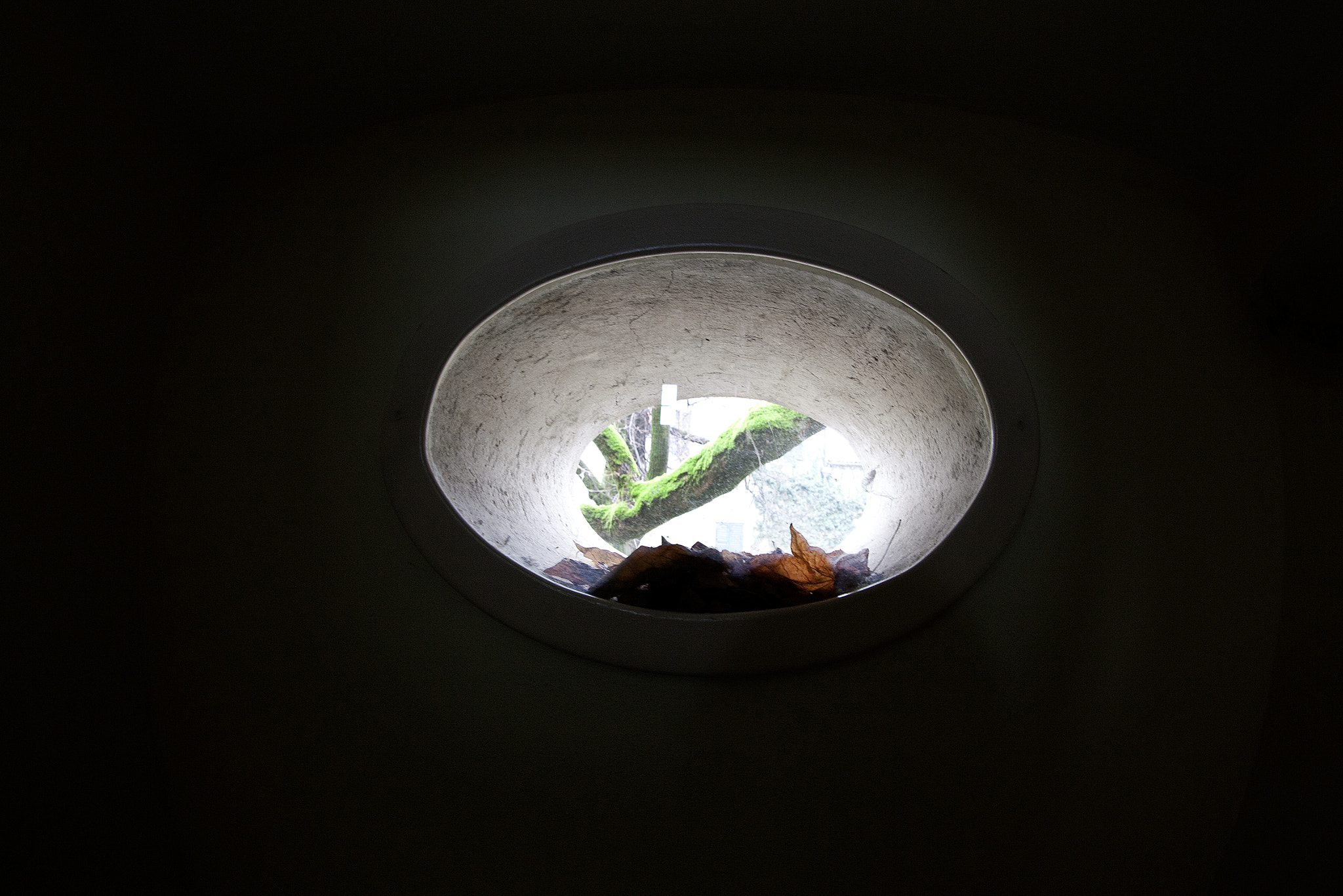 Canon EF 8-15mm F4L Fisheye USM sample photo. Om view photography