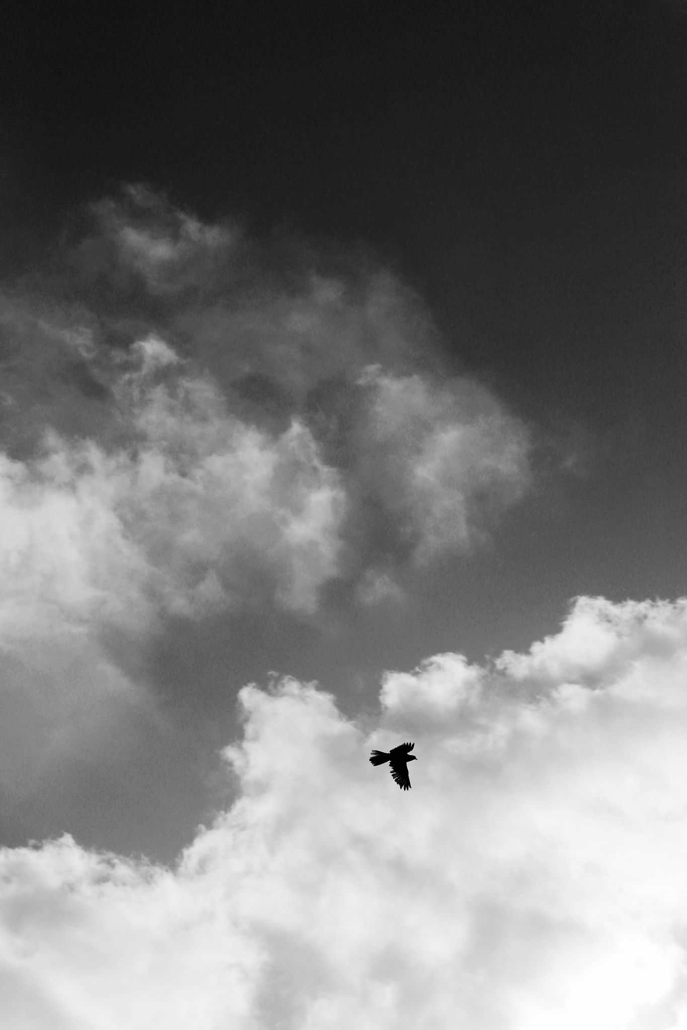 Canon EOS 700D (EOS Rebel T5i / EOS Kiss X7i) sample photo. Lonesome photography