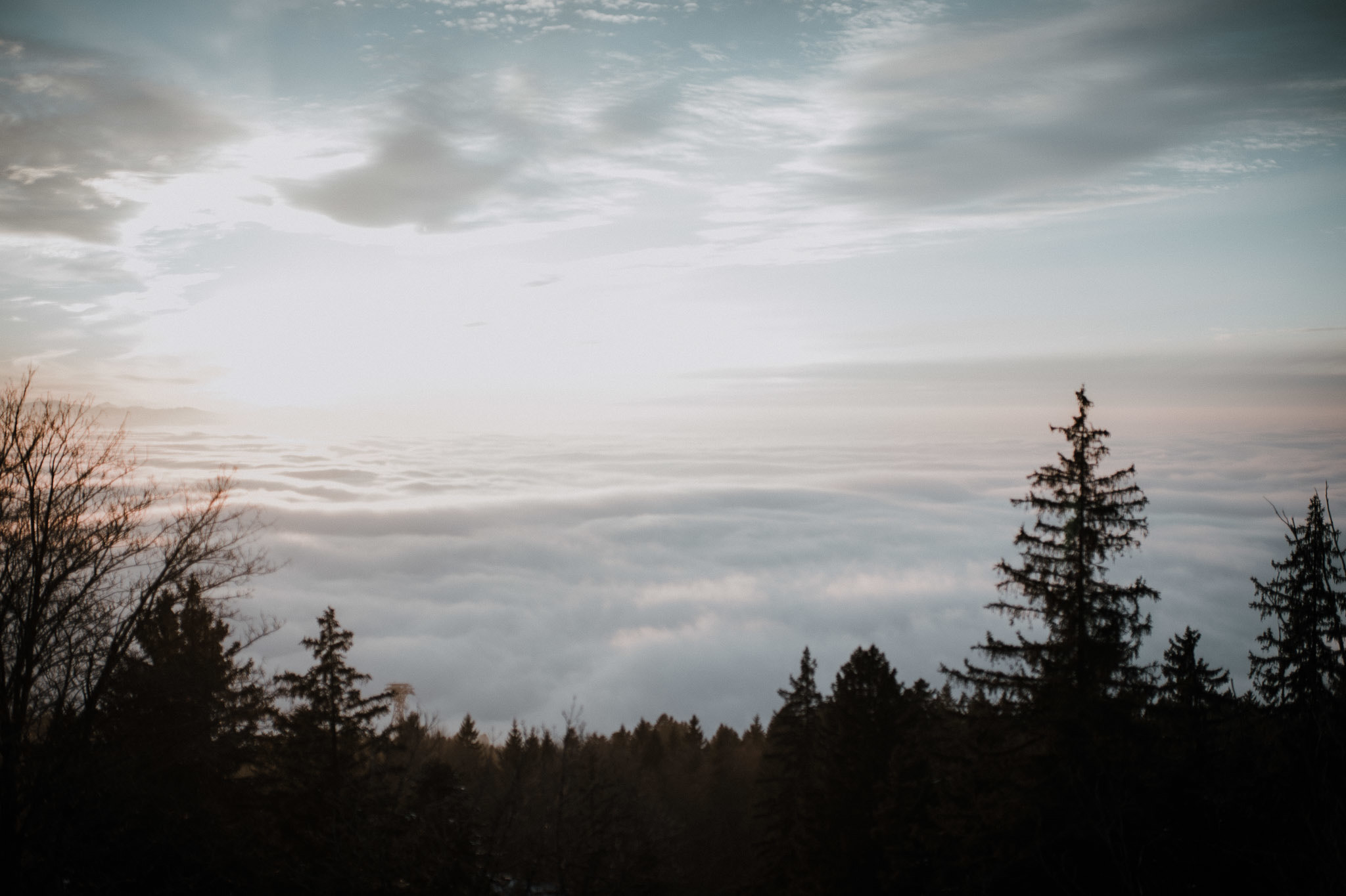 Sony a7 II + Sony DT 50mm F1.8 SAM sample photo. Bregenz, austria photography