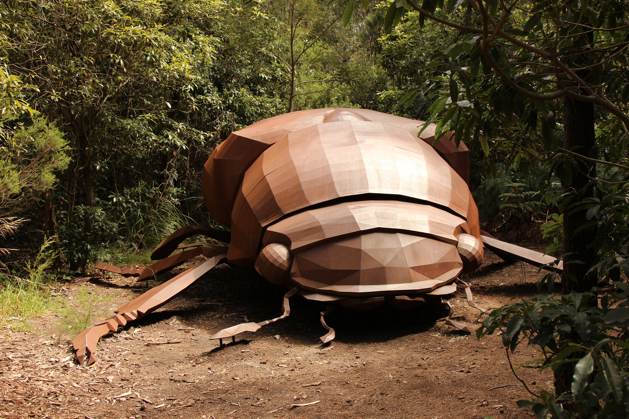 Canon EOS 600D (Rebel EOS T3i / EOS Kiss X5) sample photo. Giant beetle  photography