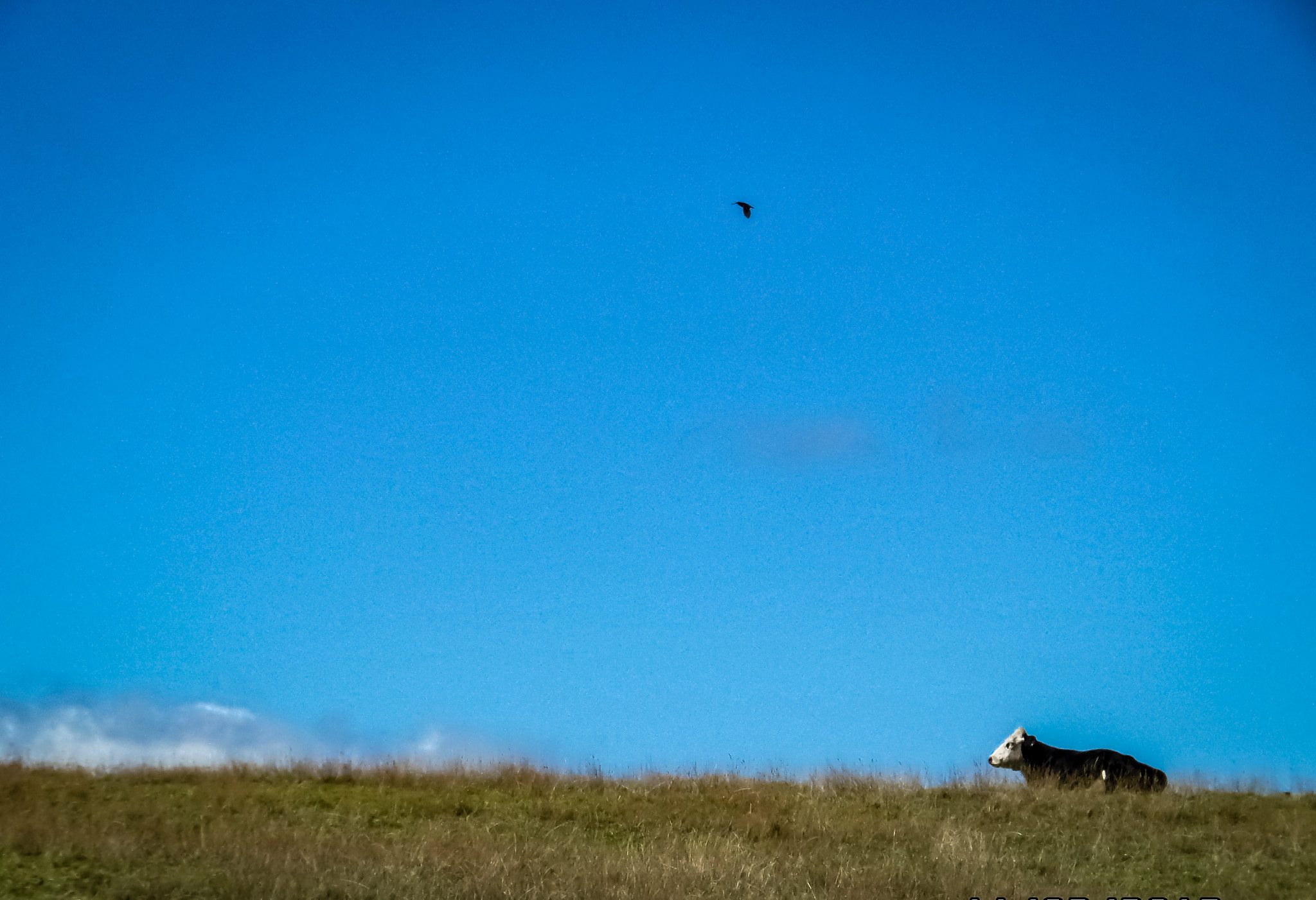 Samsung WB250F/WB251F/WB252F sample photo. Under blue sky photography