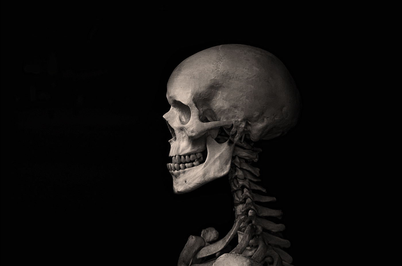 Nikon D5100 + Sigma 18-50mm F2.8-4.5 DC OS HSM sample photo. Cervical spine and skull mc photography