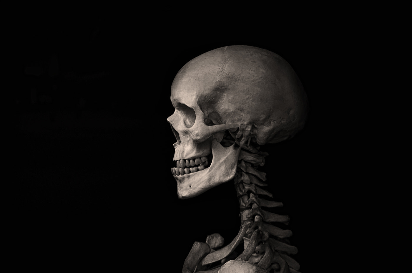 Sigma 18-50mm F2.8-4.5 DC OS HSM sample photo. Cervical spine and skull mc photography