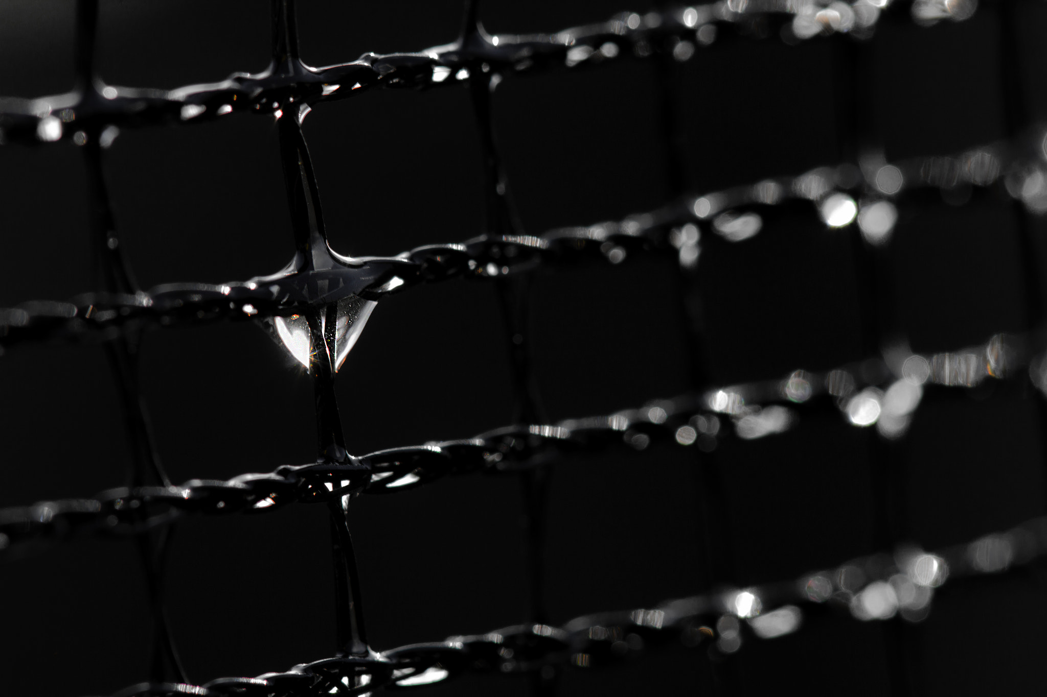 Canon EF 100mm F2.8 Macro USM sample photo. Cseepp photography