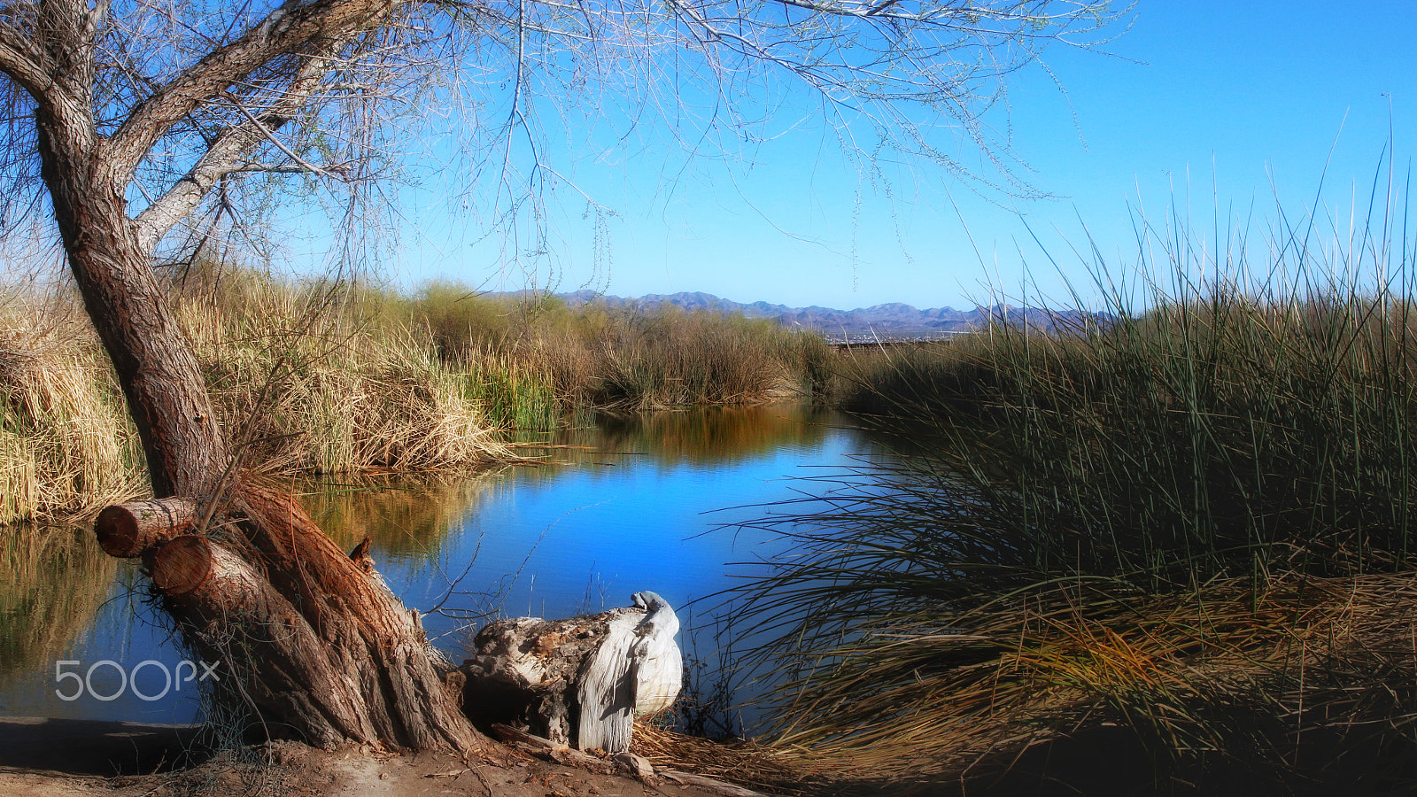 Canon EF 24-70mm F2.8L II USM sample photo. Vern's pond and island photography