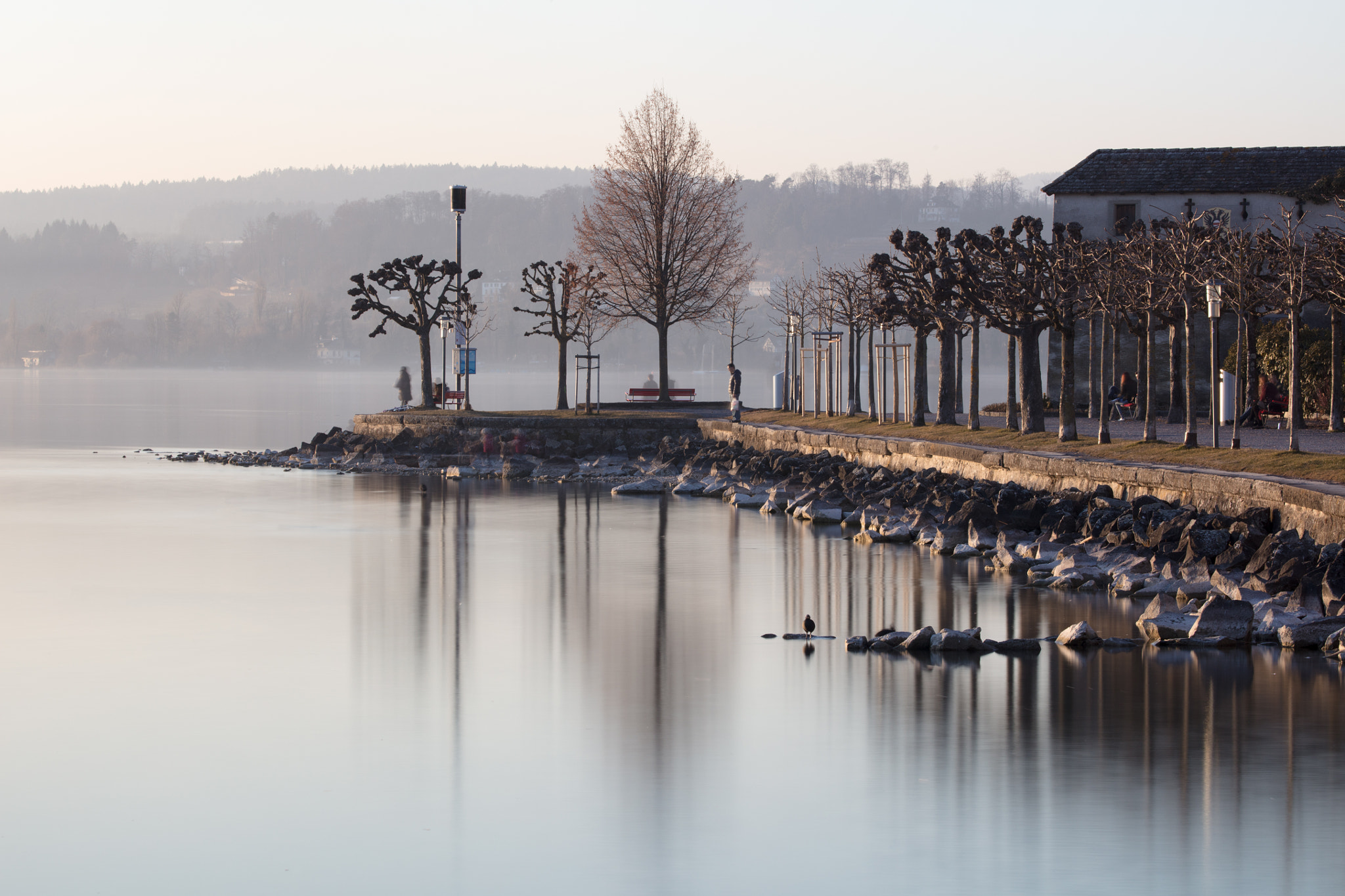 Canon EOS 5DS sample photo. Winter at the lakeside photography