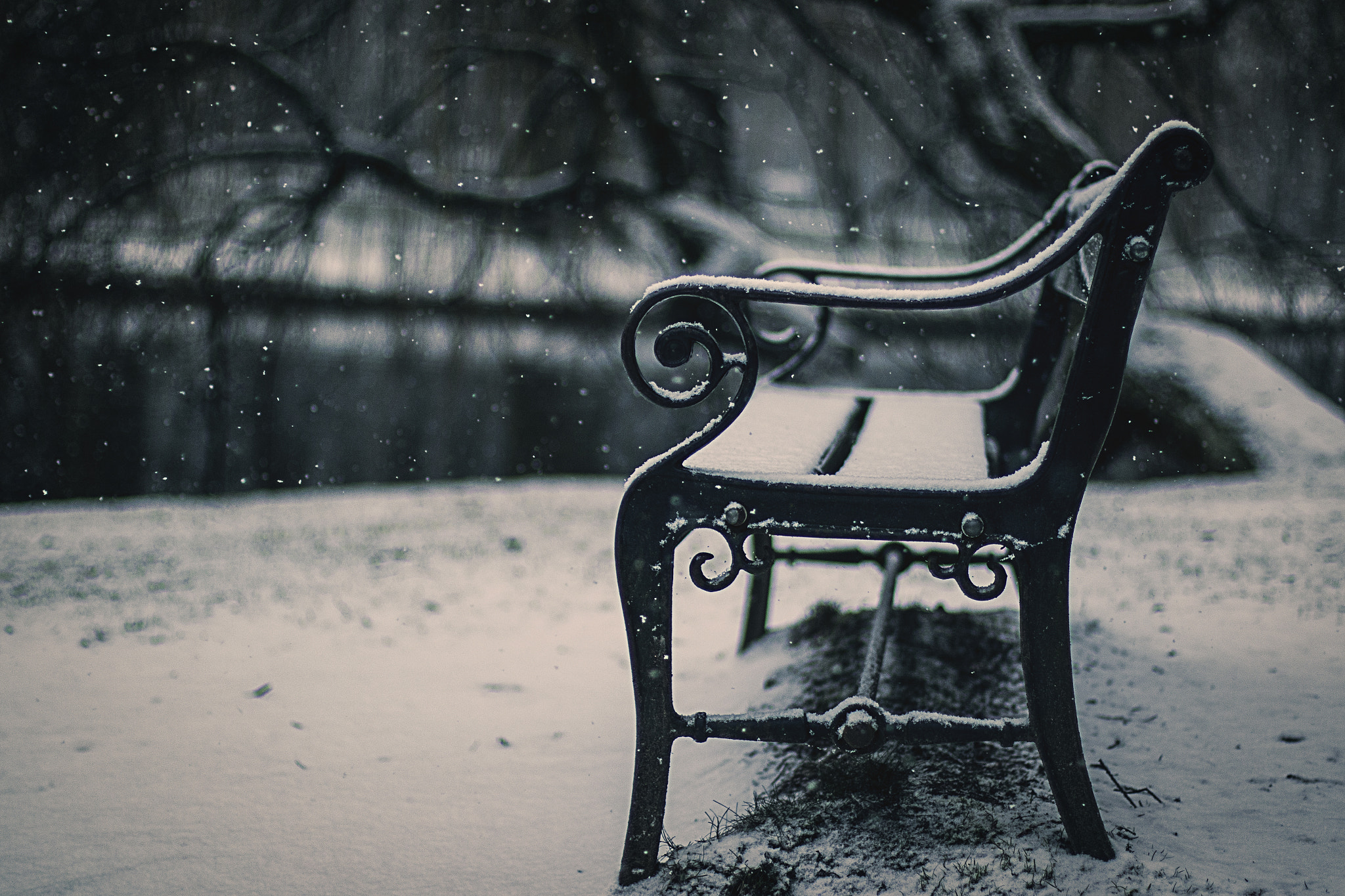 Canon EF 50mm F1.4 USM sample photo. Under the snow attack photography
