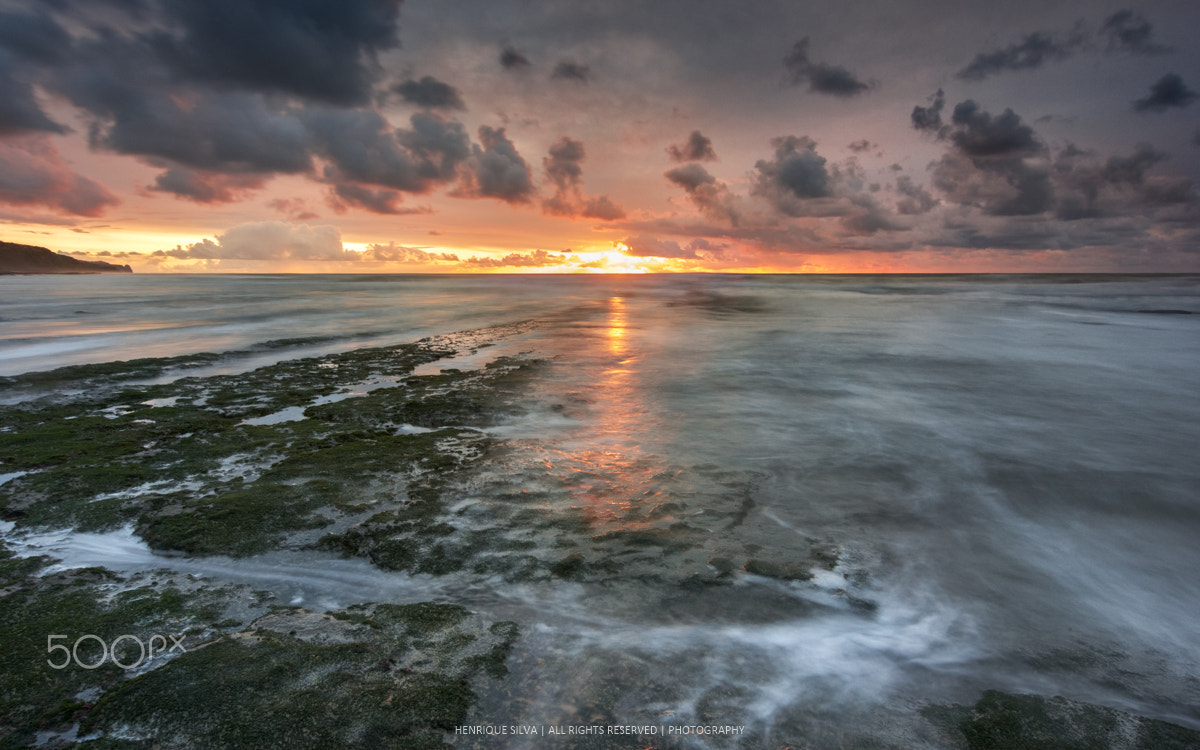 Tokina AT-X Pro 12-24mm F4 (IF) DX sample photo. Wait photography
