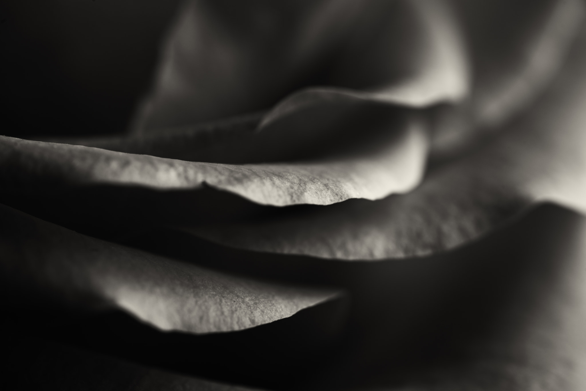 Sigma 105mm F2.8 EX DG OS HSM sample photo. Layers photography