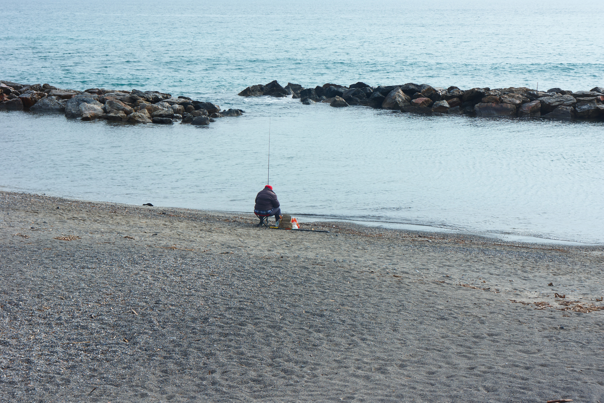 Sony Alpha NEX-7 + Sony E 18-55mm F3.5-5.6 OSS sample photo. The king fisher photography