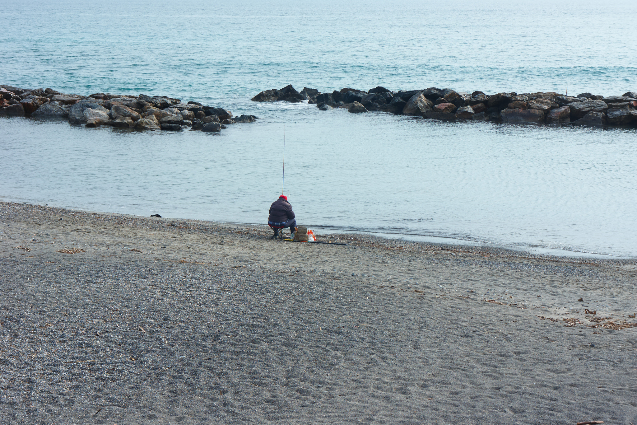 Sony Alpha NEX-7 sample photo. The king fisher photography