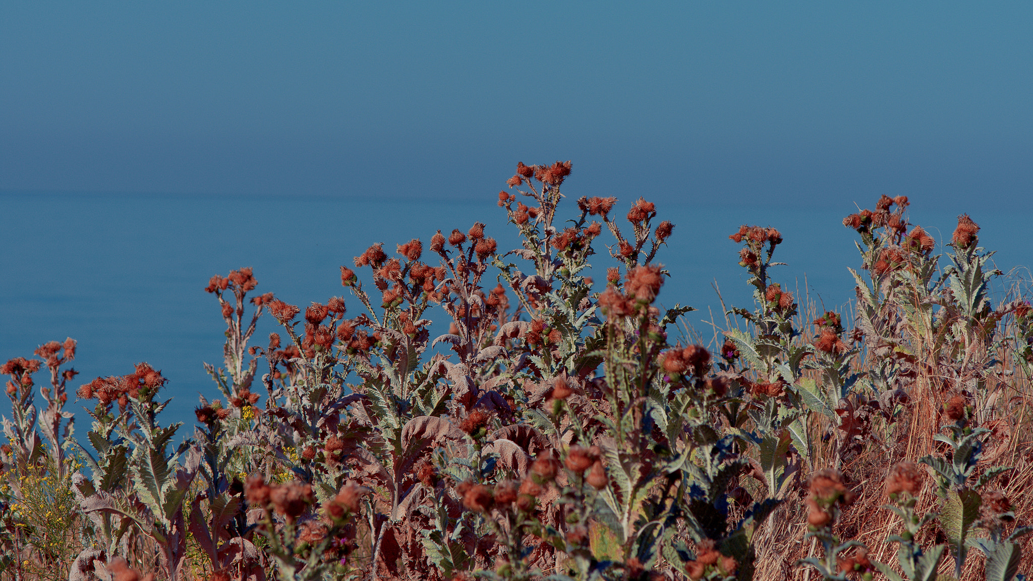 Nikon AF-S Nikkor 24-120mm F4G ED VR sample photo. Edit photography
