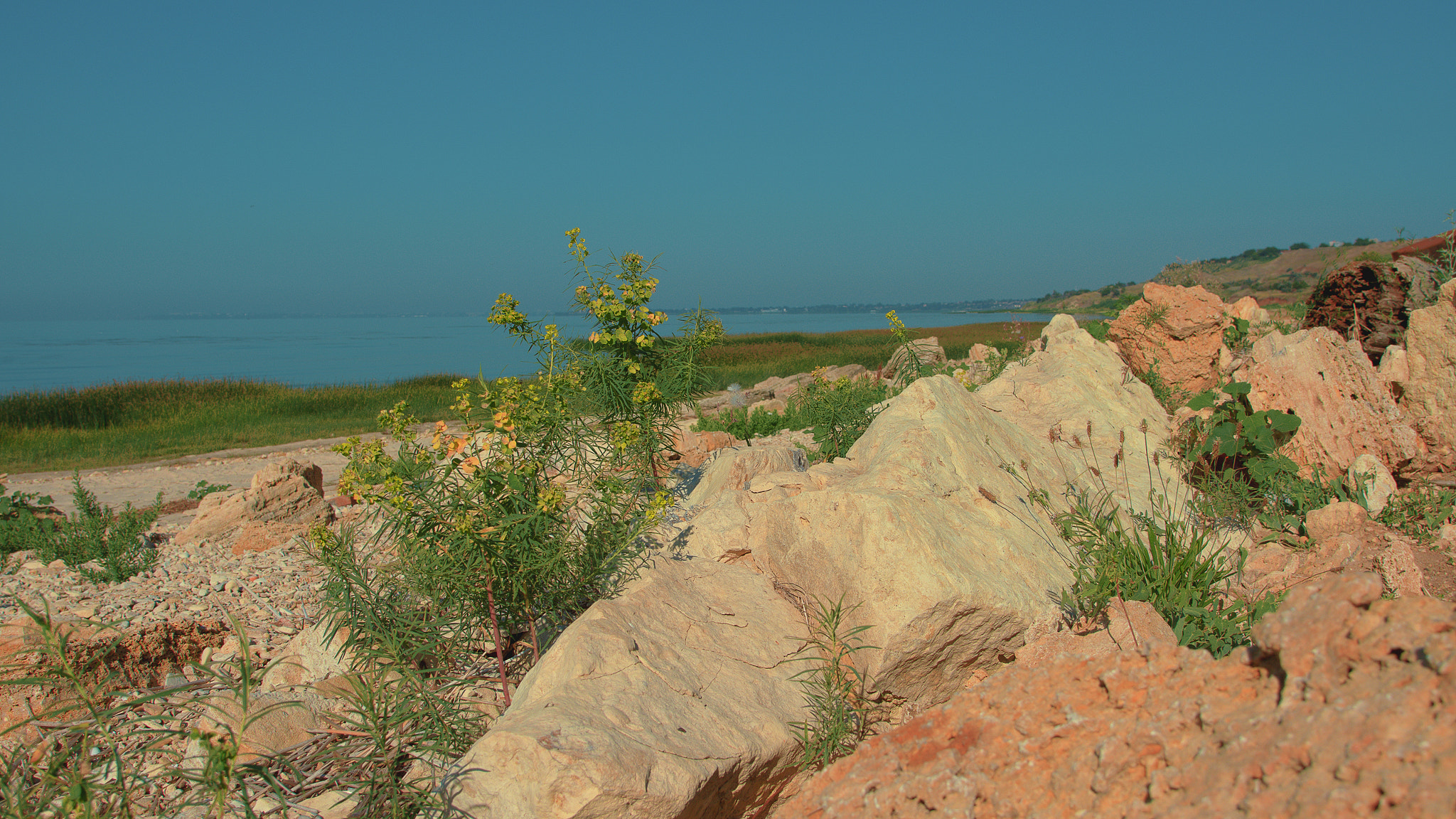 Nikon AF-S Nikkor 24-120mm F4G ED VR sample photo. Edit photography
