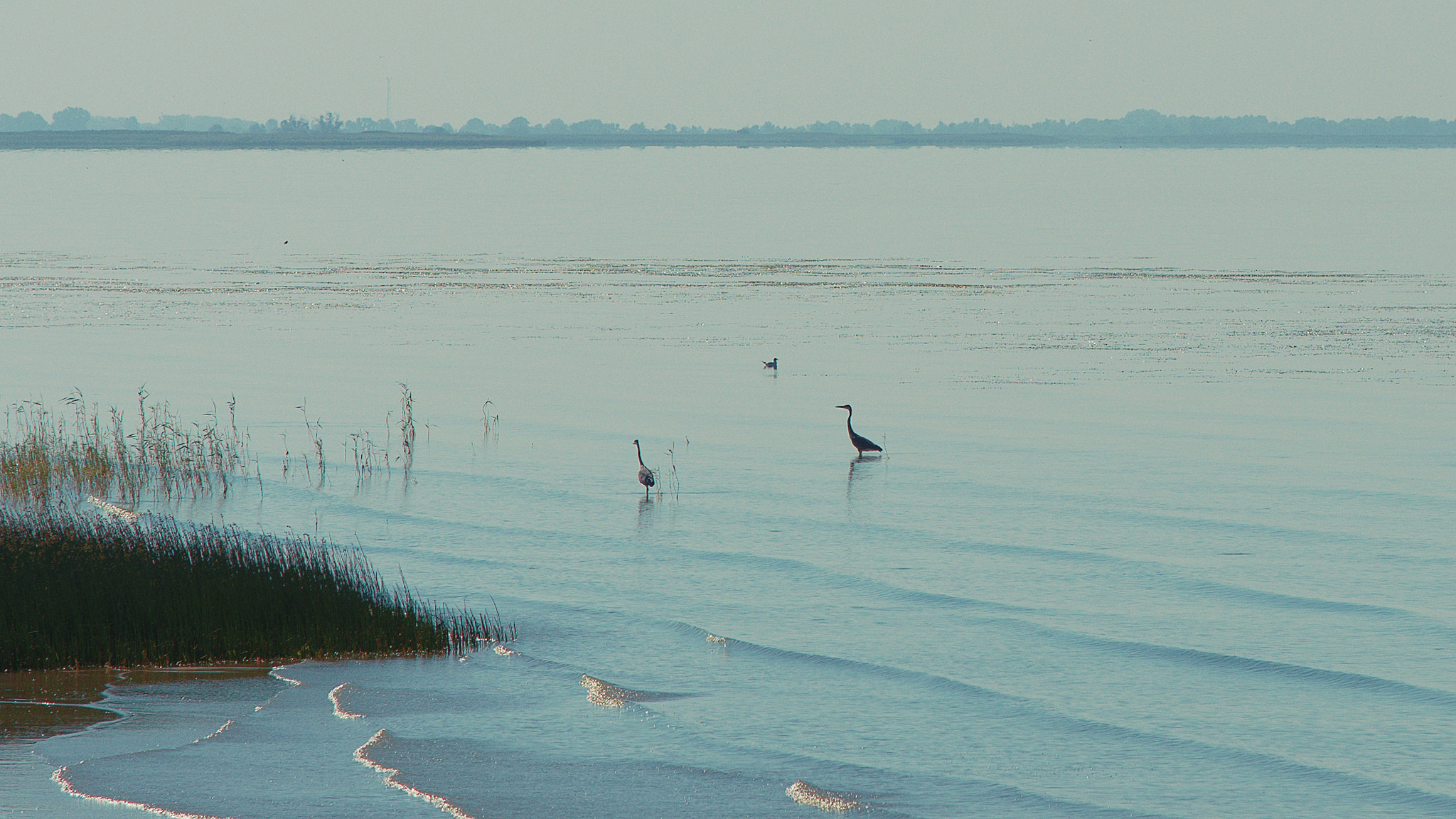 Nikon AF-S Nikkor 24-120mm F4G ED VR sample photo. Edit photography