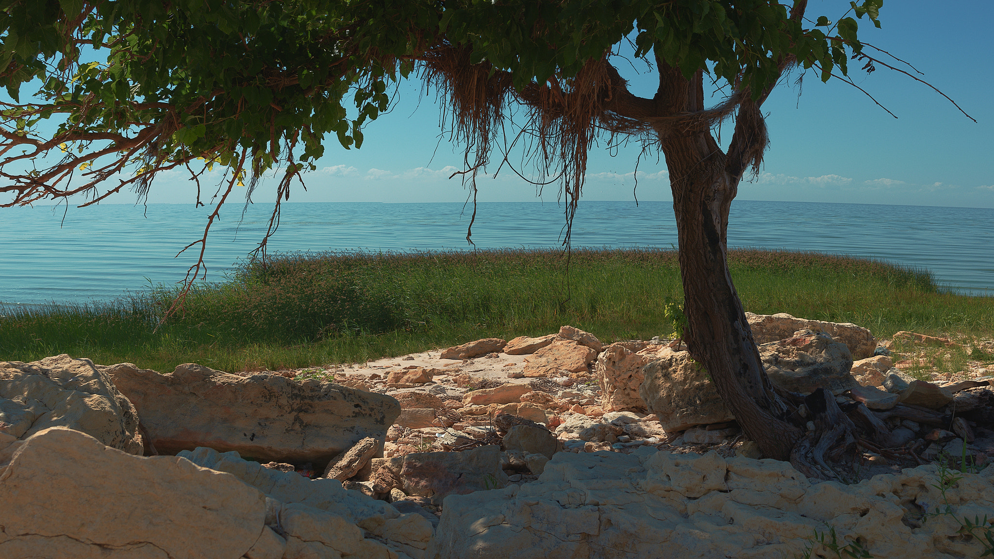 Nikon AF-S Nikkor 24-120mm F4G ED VR sample photo. Pano edit photography