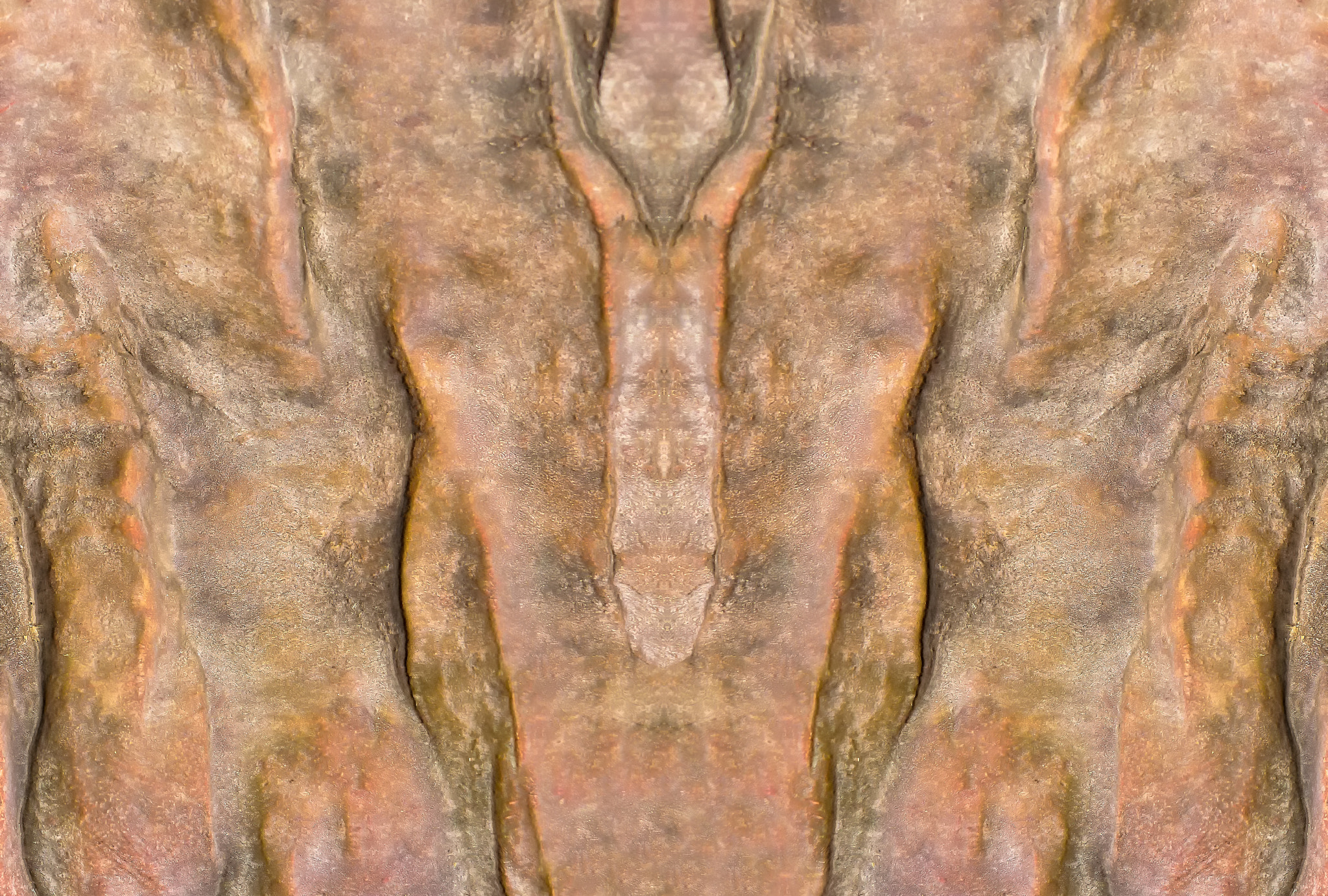 Sigma 105mm F2.8 EX DG Macro sample photo. Tantric curiosity photography